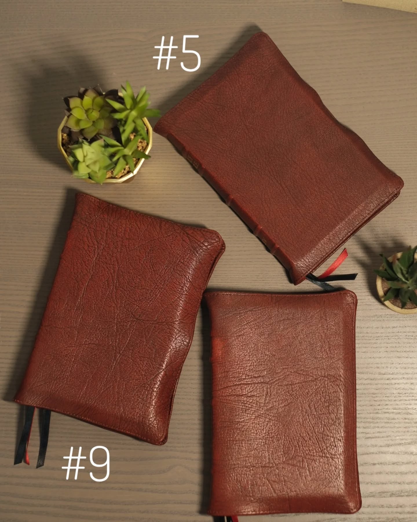Red Wine Goatskin ESV thumbnail 4