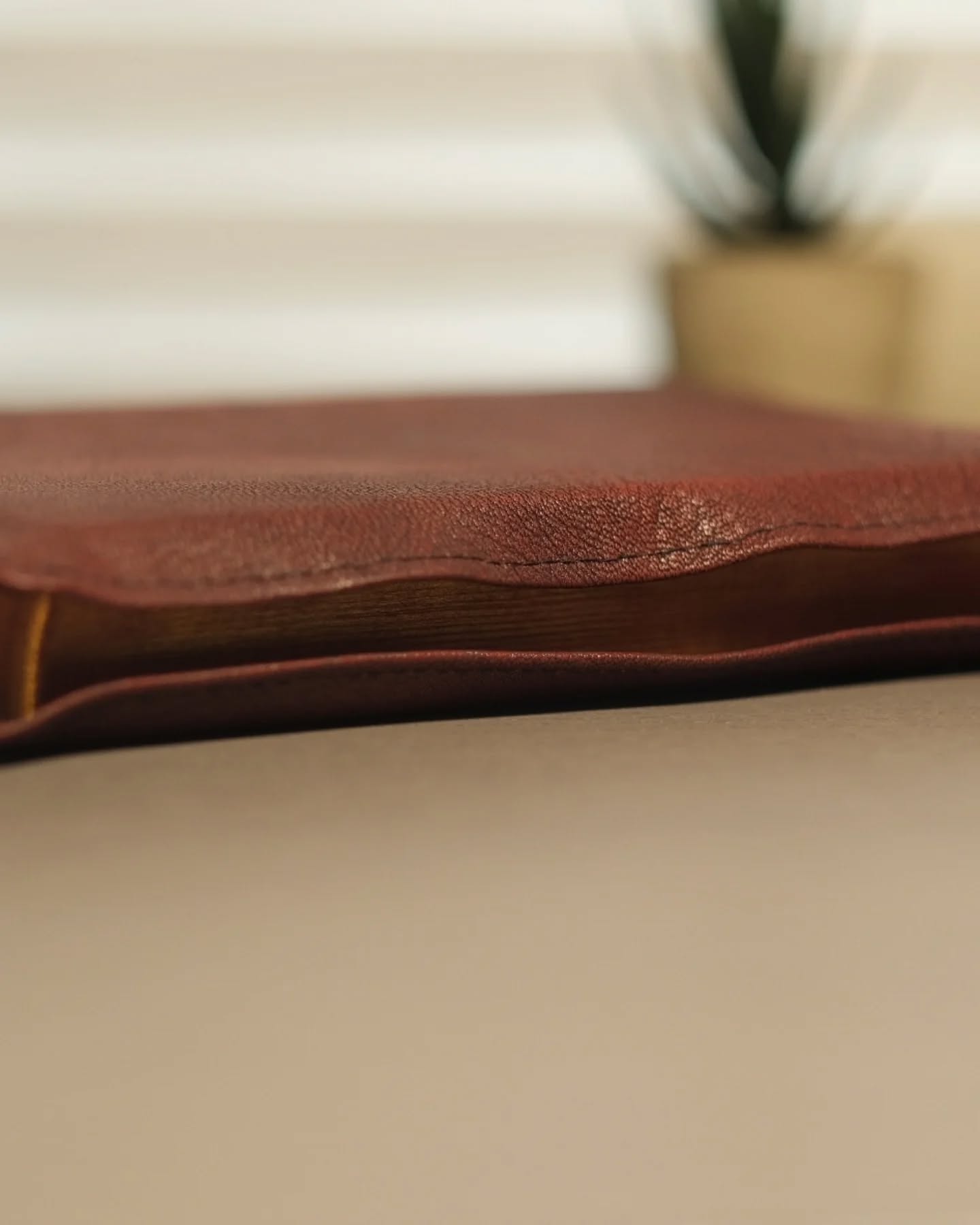 Red Wine Goatskin ESV thumbnail 6
