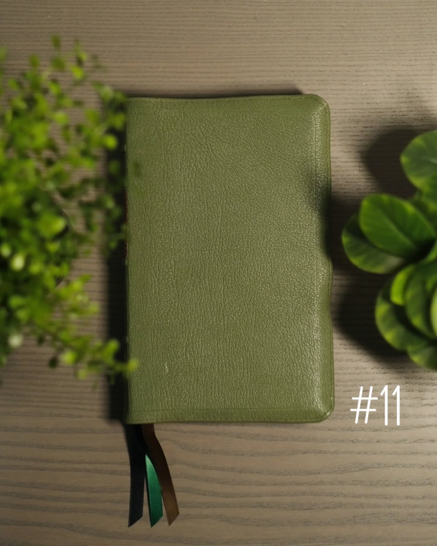 Green Goatskin NASB thumbnail 2