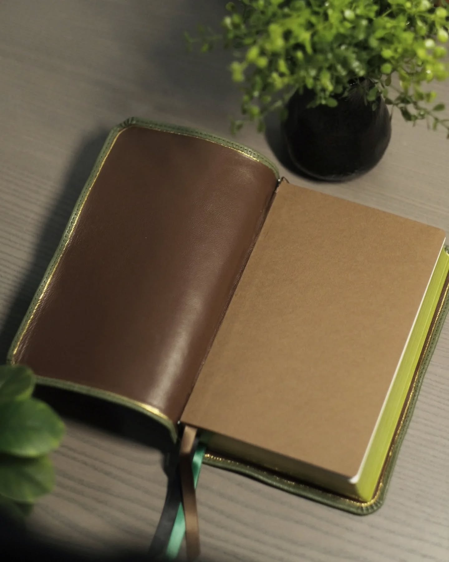 Green Goatskin NASB thumbnail 3