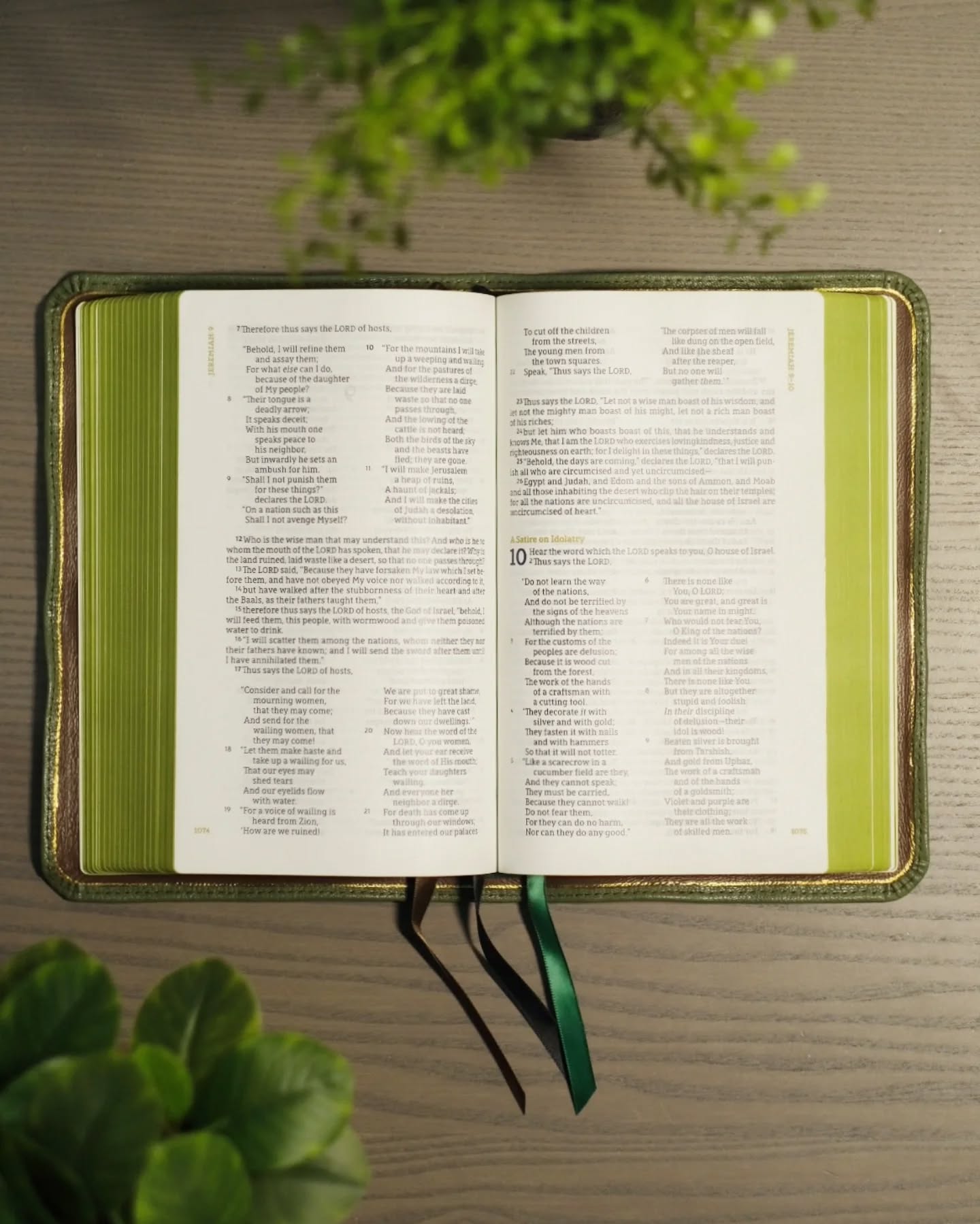 Green Goatskin NASB thumbnail 4