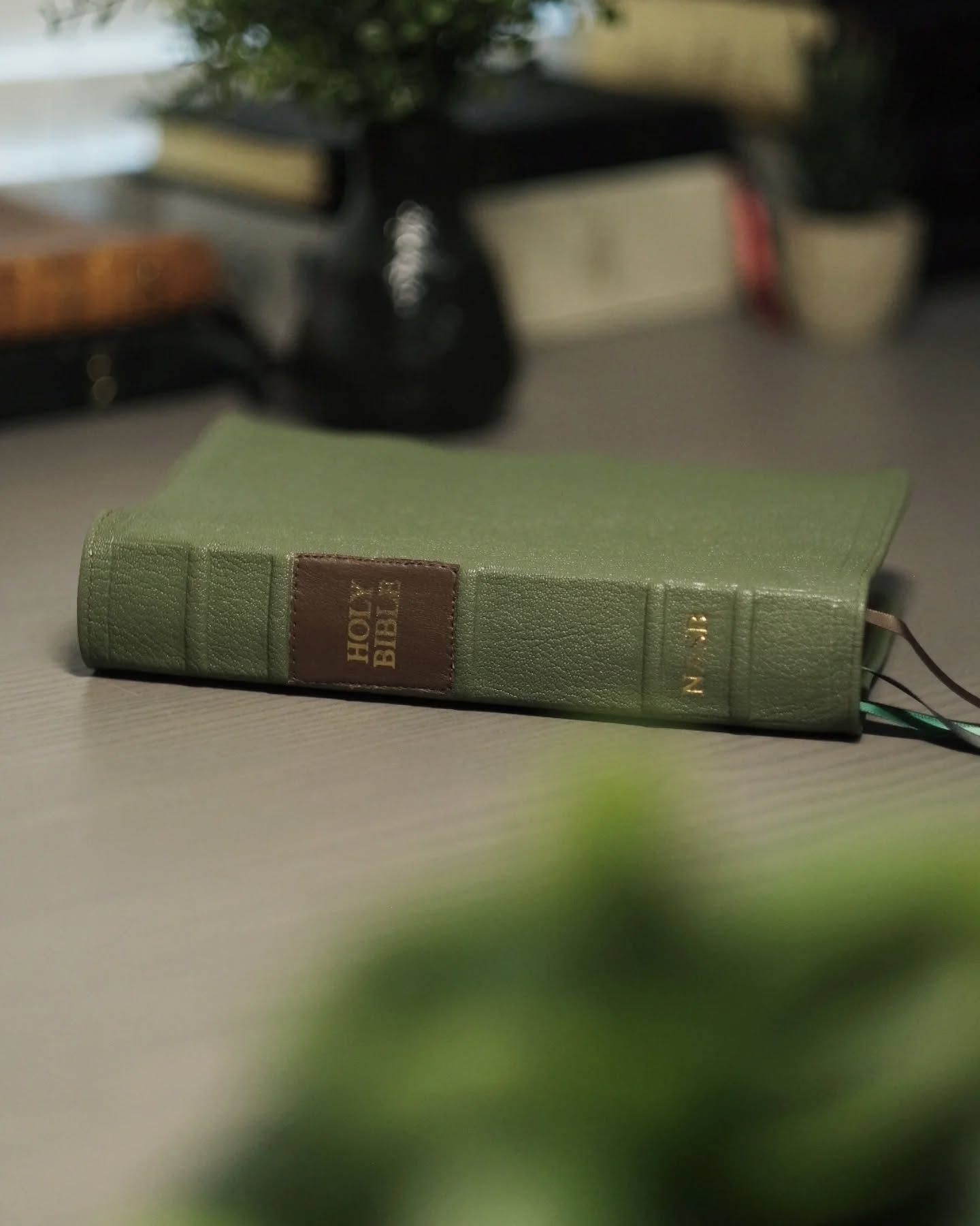 Green Goatskin NASB thumbnail 5