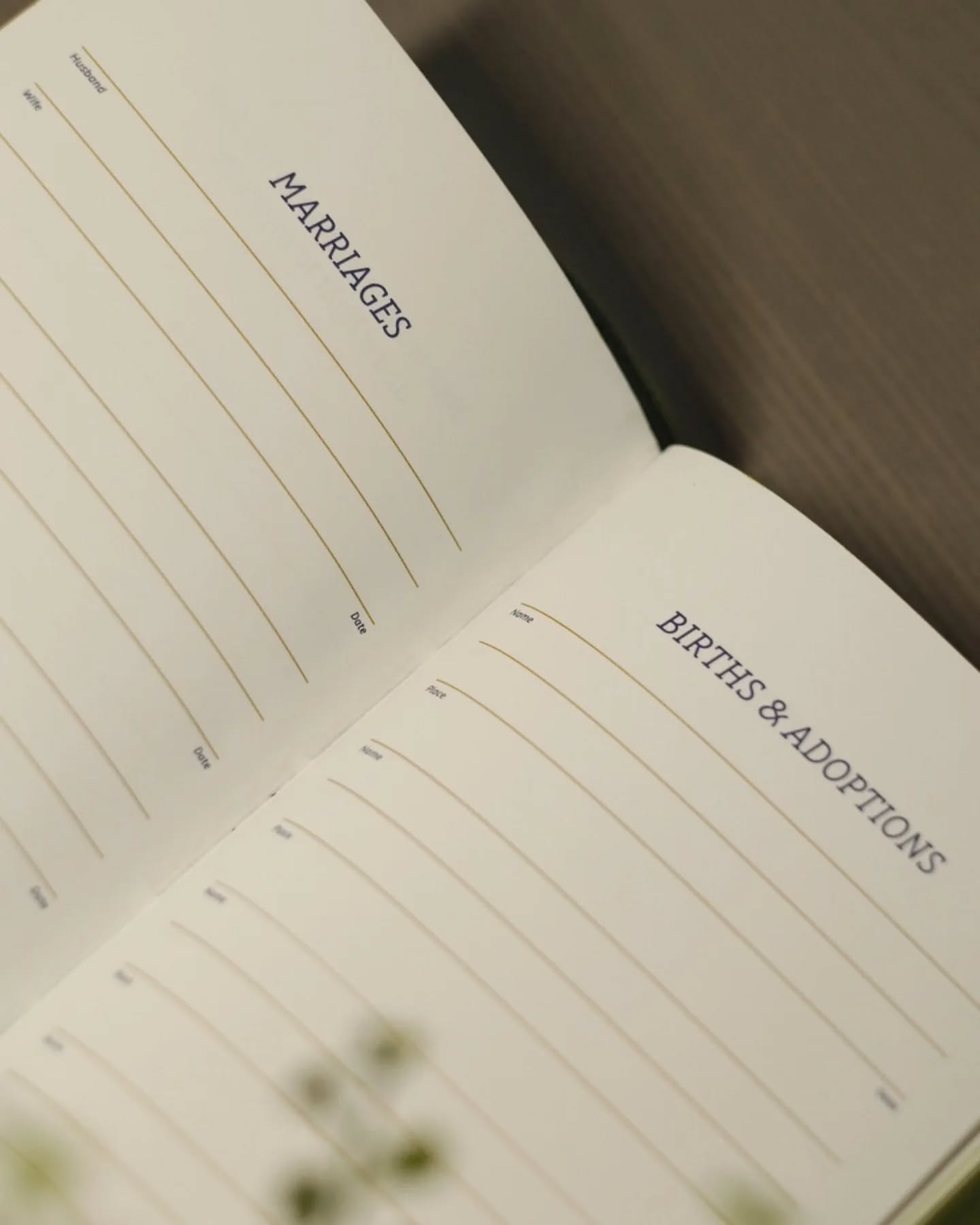 Green Goatskin NASB thumbnail 7