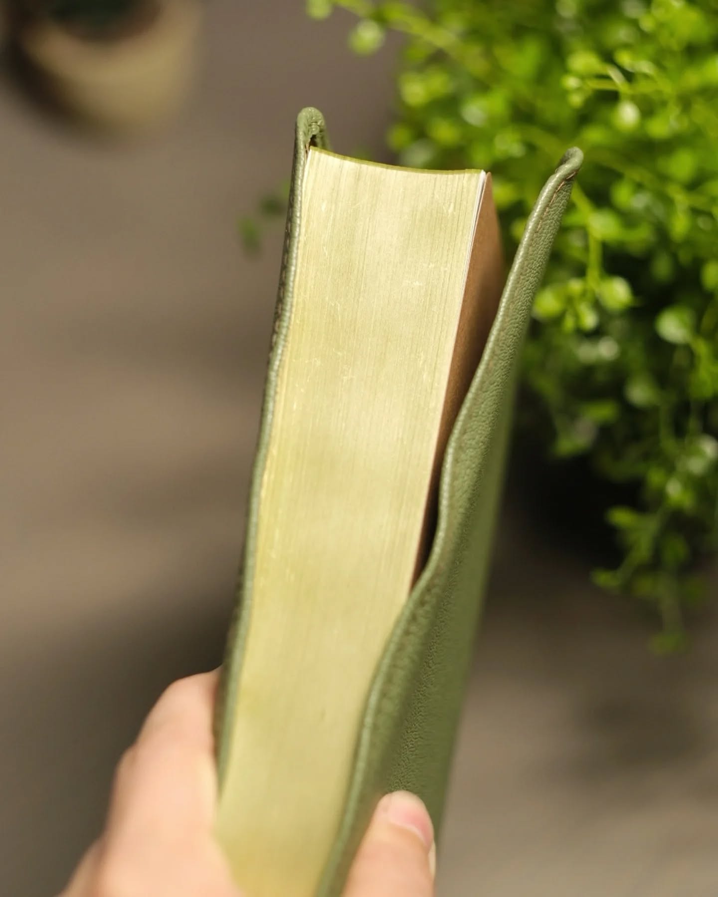 Green Goatskin NASB thumbnail 8