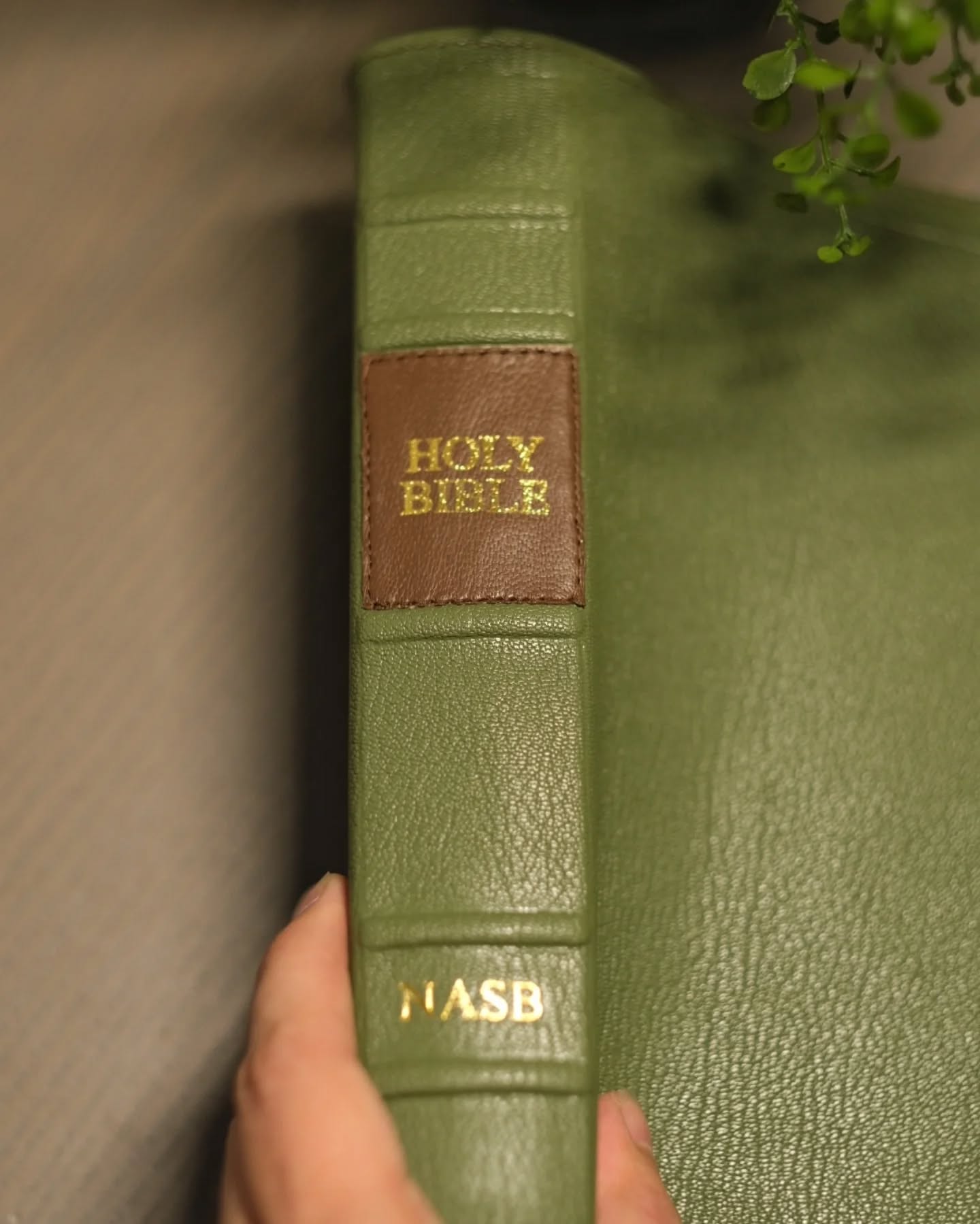 Green Goatskin NASB thumbnail 9