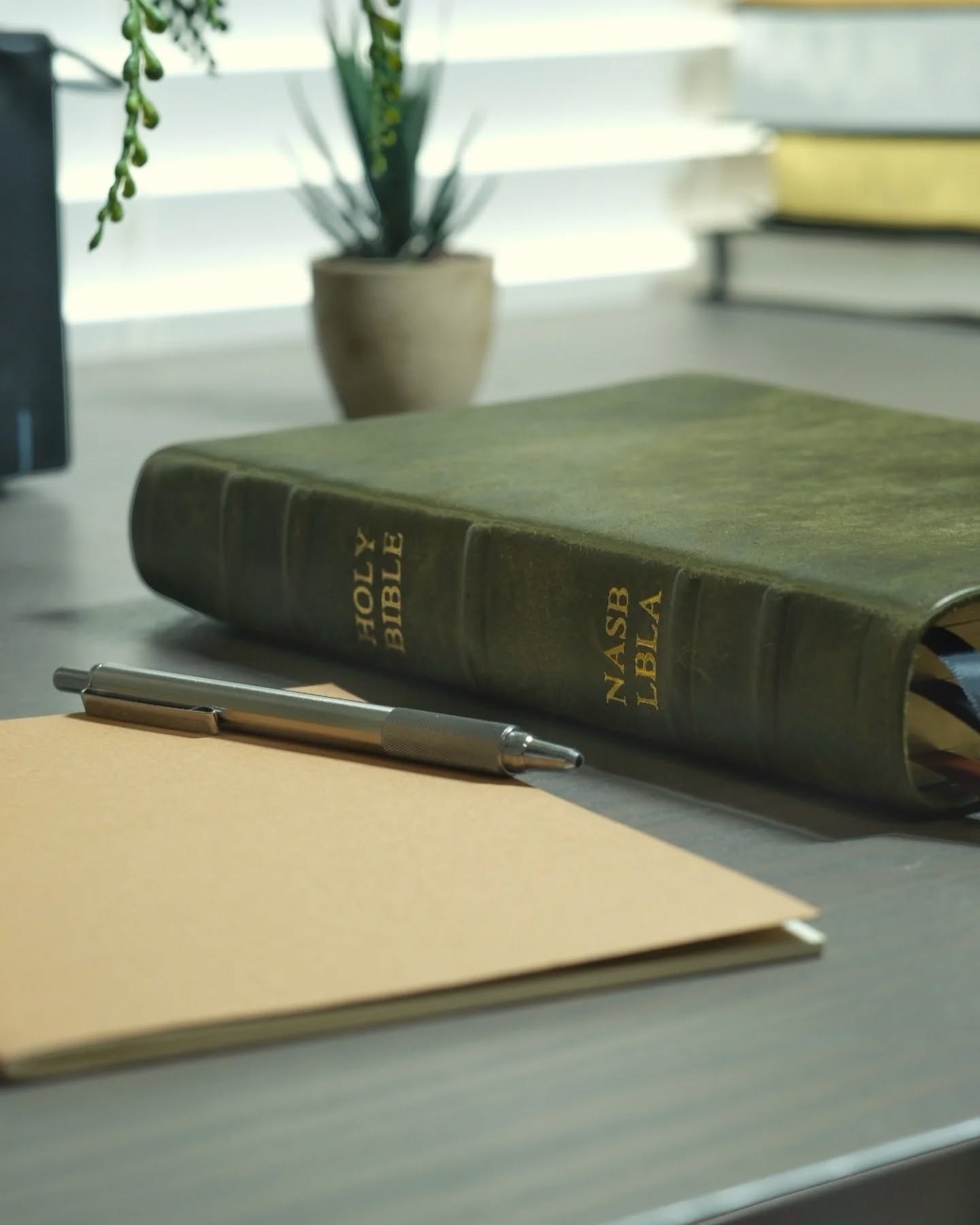 Olive Badalassi Carlo Pueblo NASB thumbnail 2