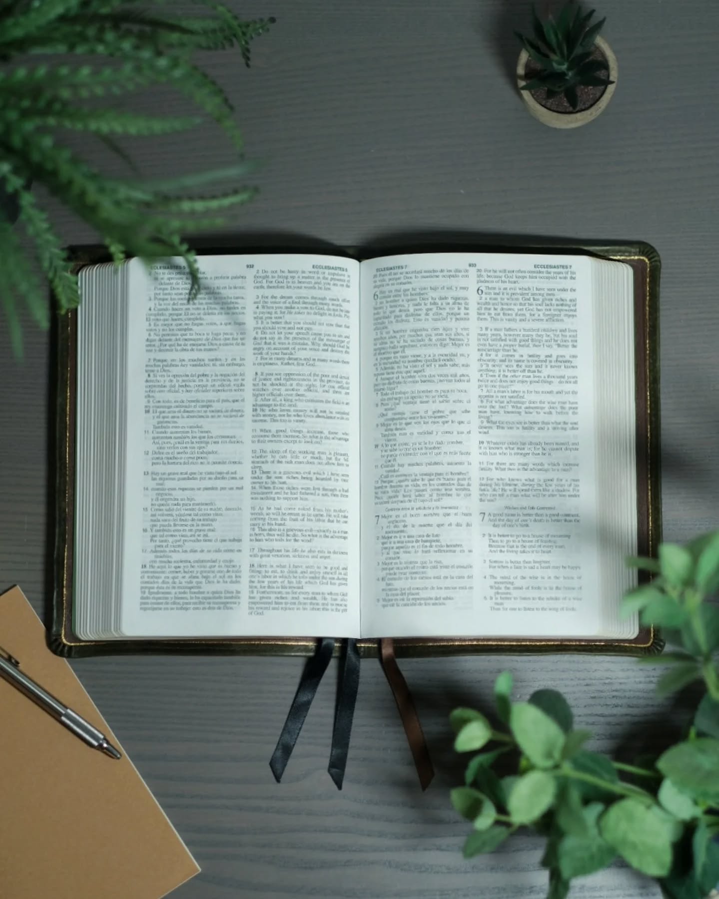 Olive Badalassi Carlo Pueblo NASB thumbnail 3