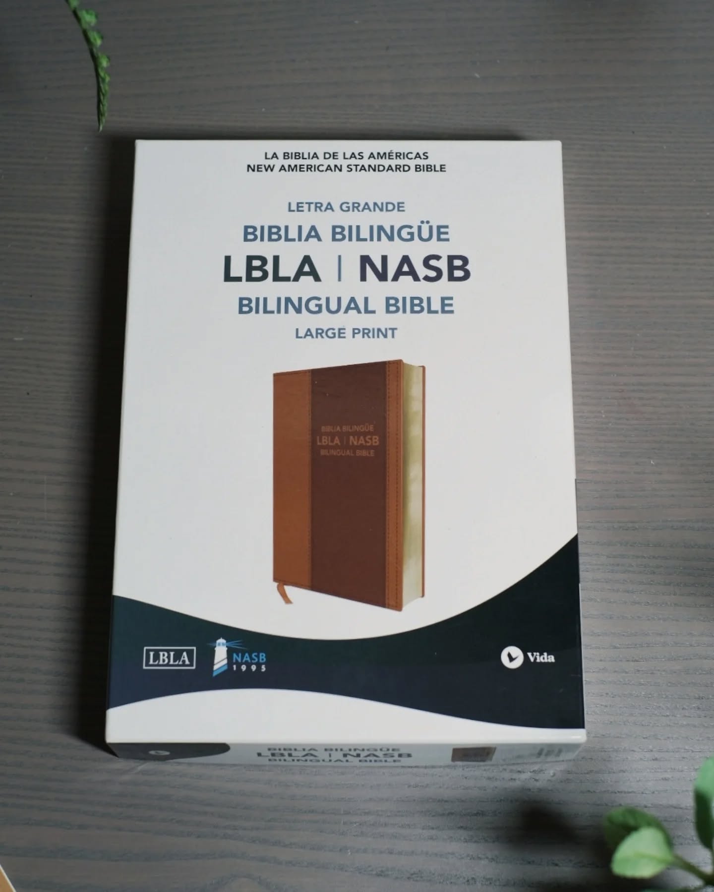 Olive Badalassi Carlo Pueblo NASB thumbnail 7