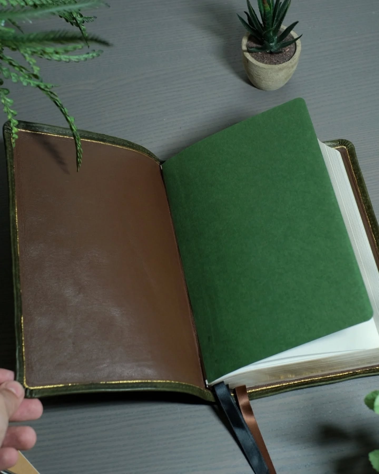 Olive Badalassi Carlo Pueblo NASB thumbnail 8