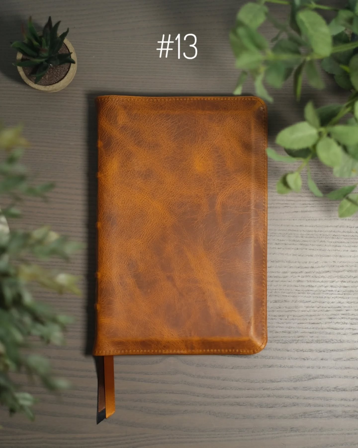 Brown Badalassi Carlo Waxy ESV