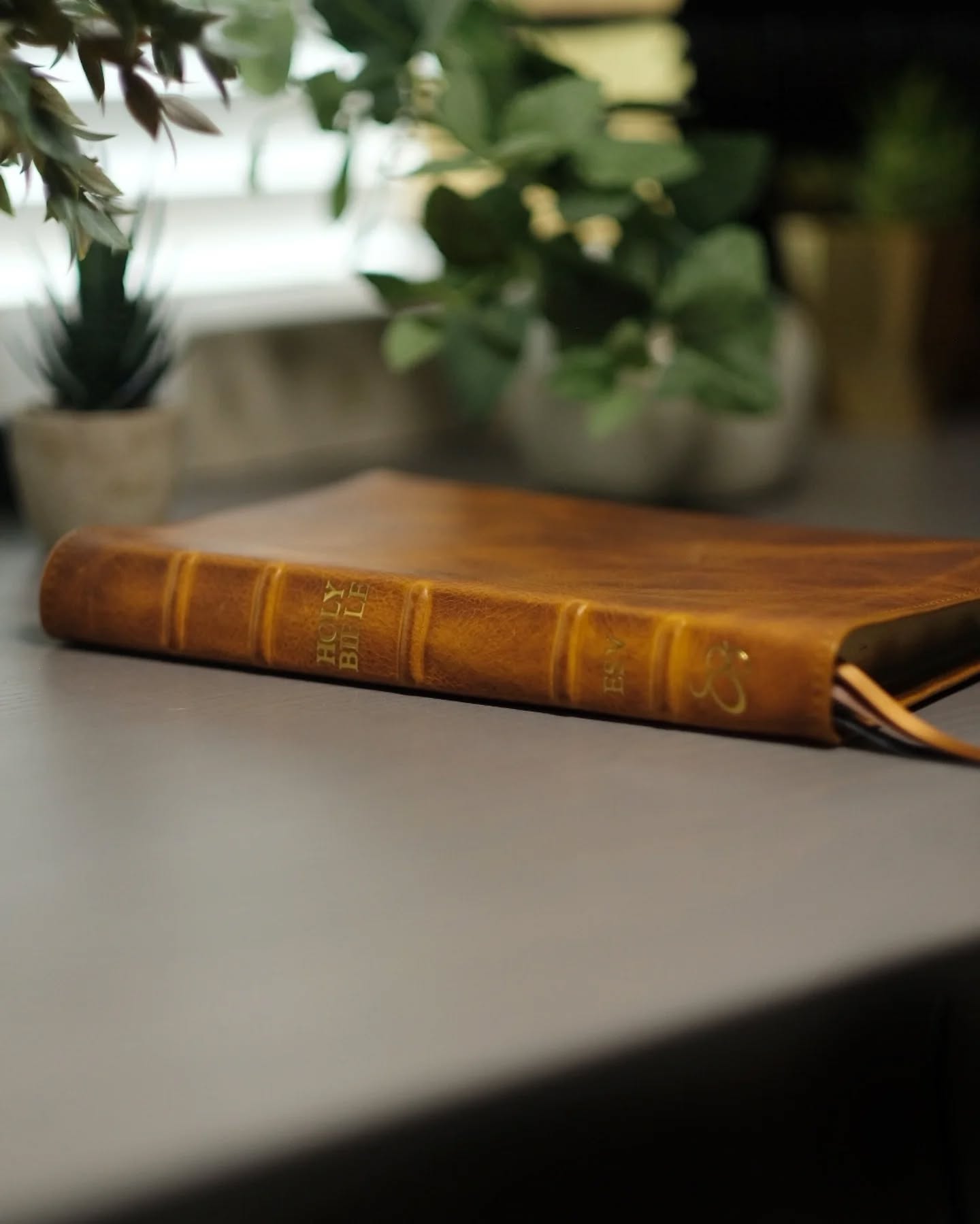 Brown Badalassi Carlo Waxy ESV thumbnail 2