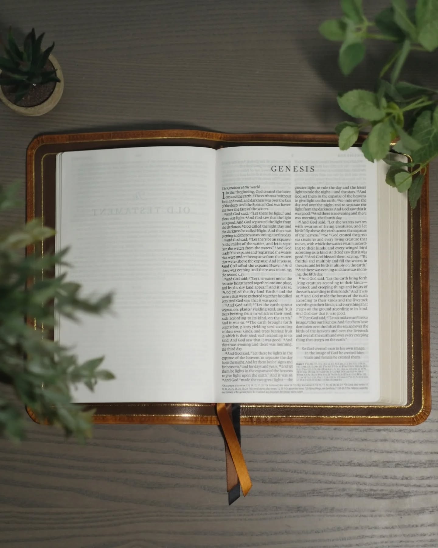 Brown Badalassi Carlo Waxy ESV thumbnail 3