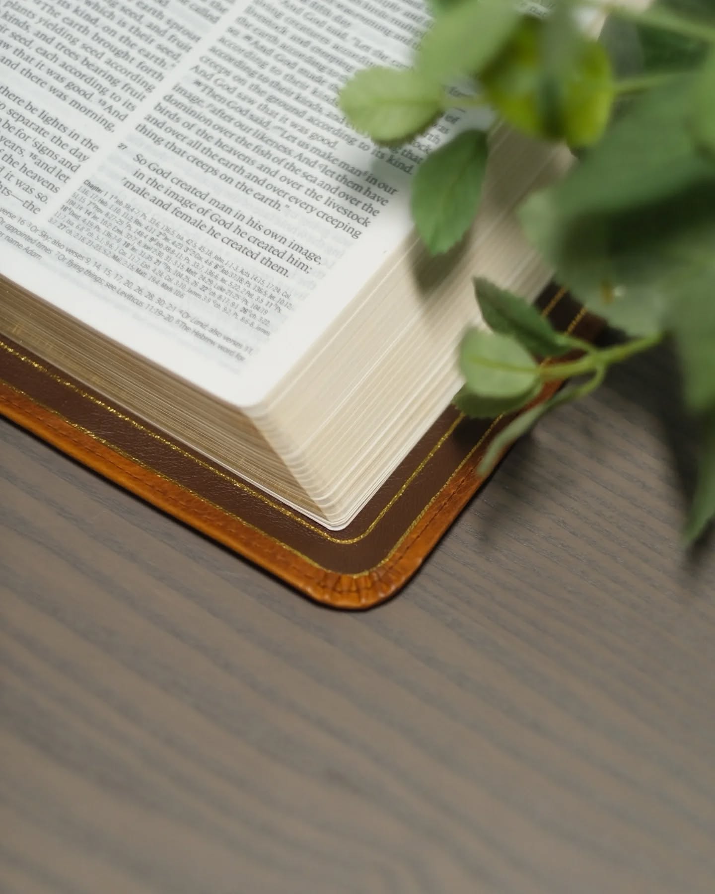 Brown Badalassi Carlo Waxy ESV thumbnail 4