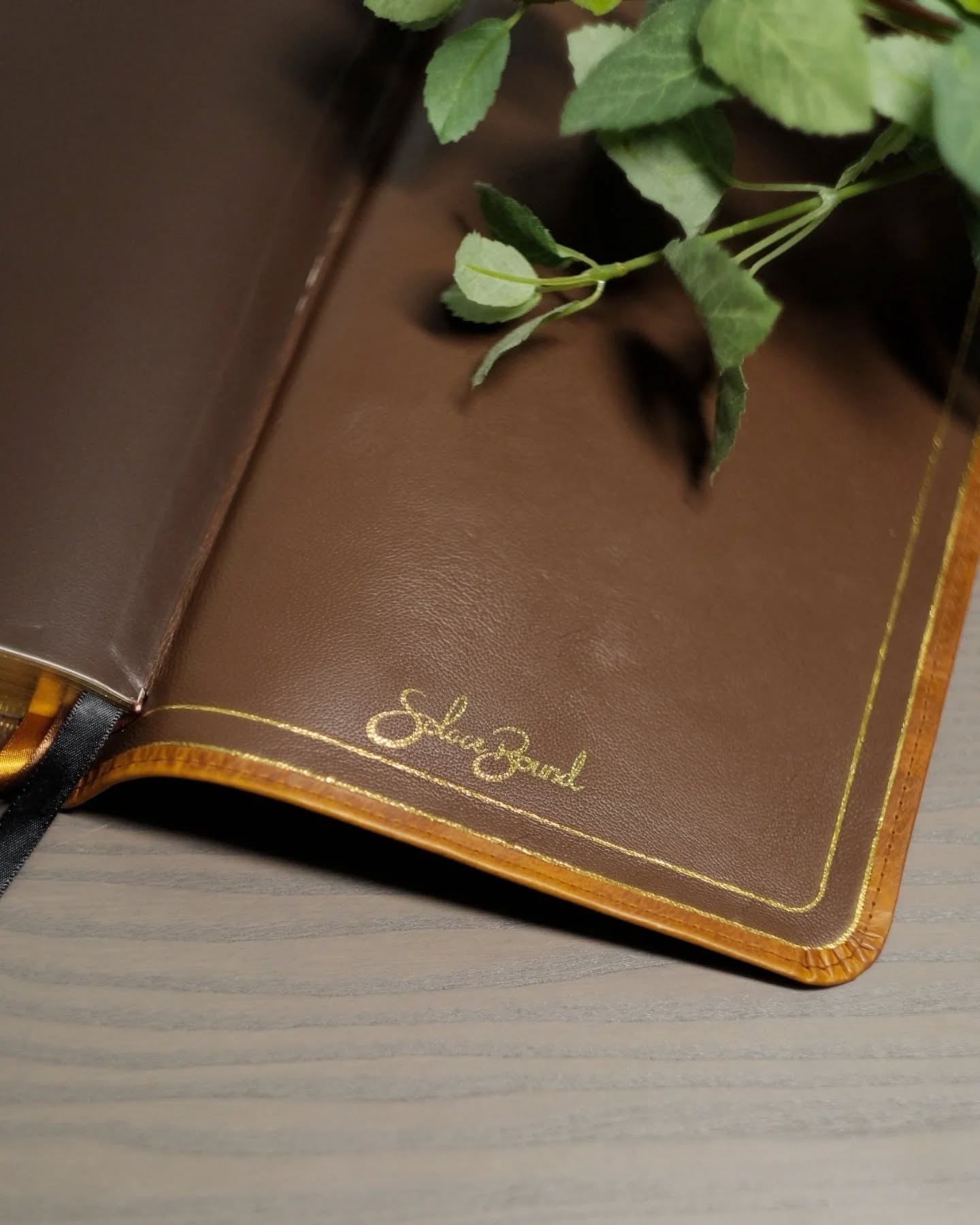 Brown Badalassi Carlo Waxy ESV thumbnail 5