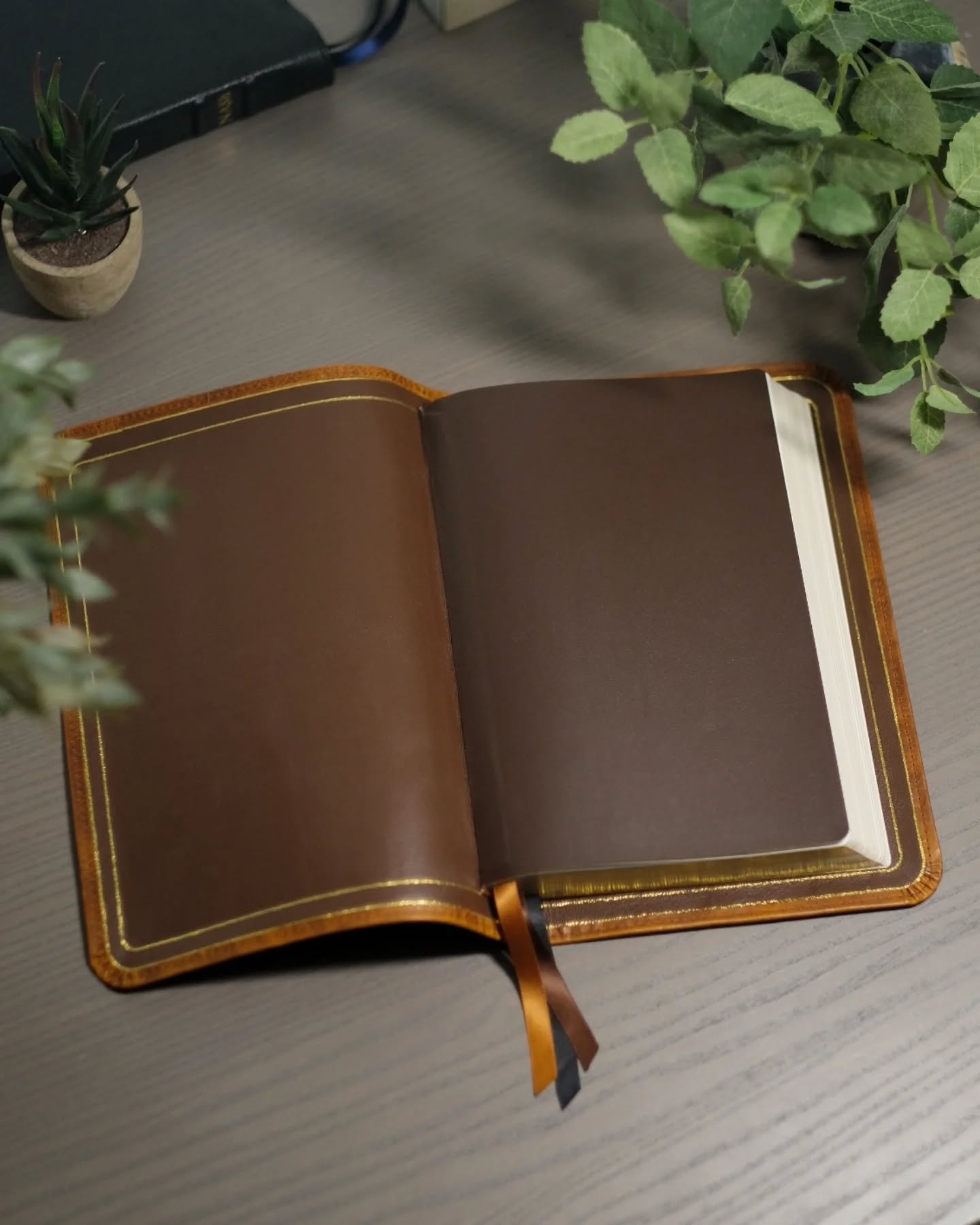 Brown Badalassi Carlo Waxy ESV thumbnail 6