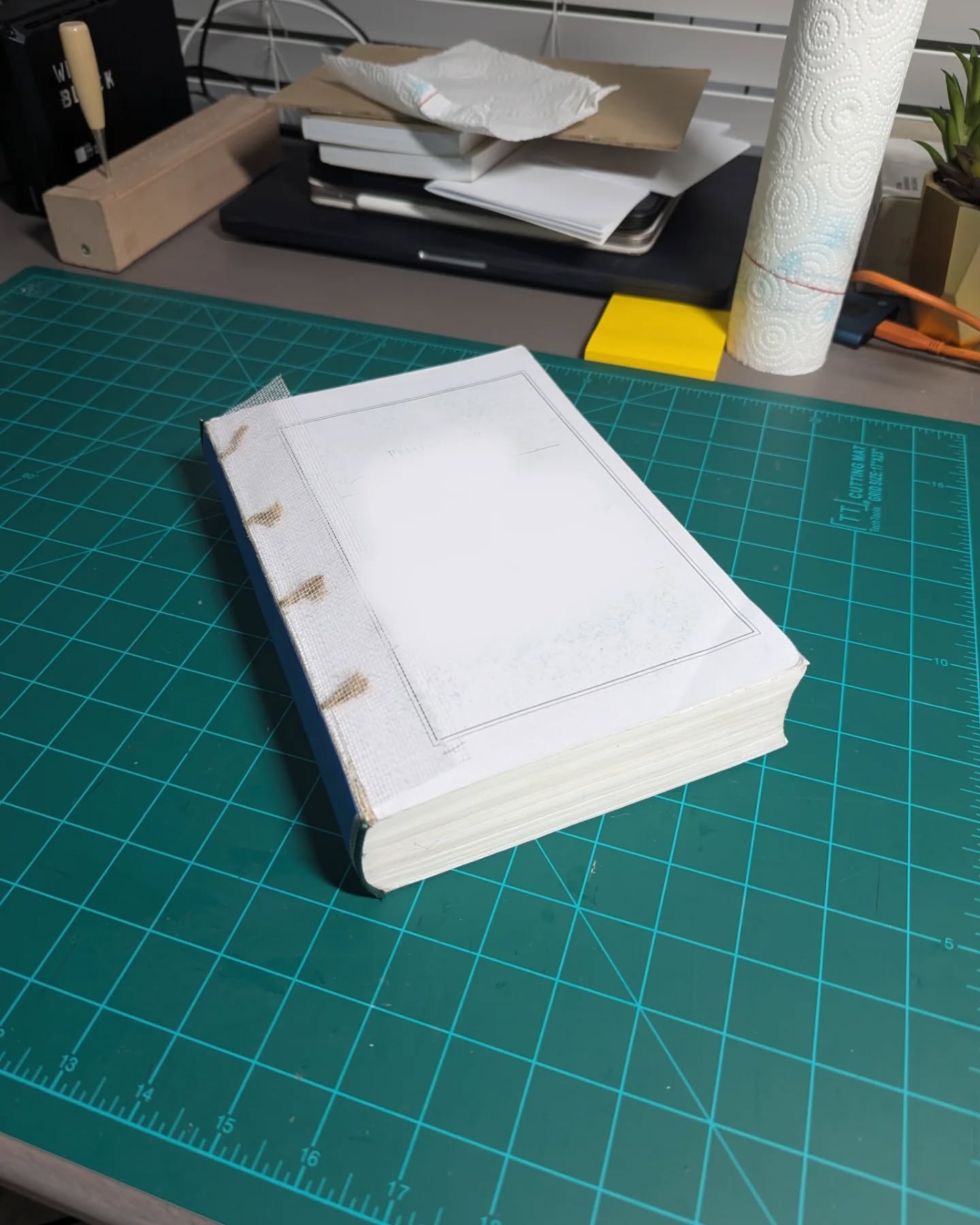 Ice Luxury Smooth Grain Calfskin NASB thumbnail 11