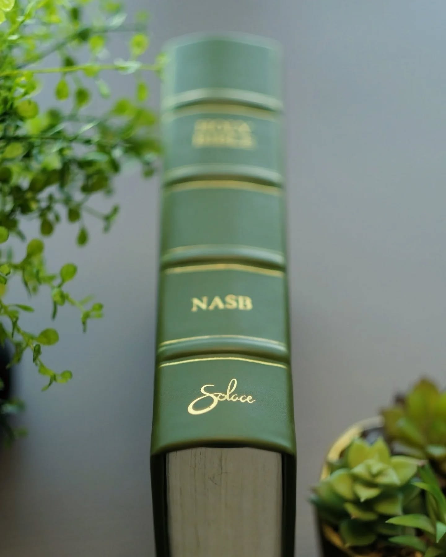 Ice Luxury Smooth Grain Calfskin NASB thumbnail 4