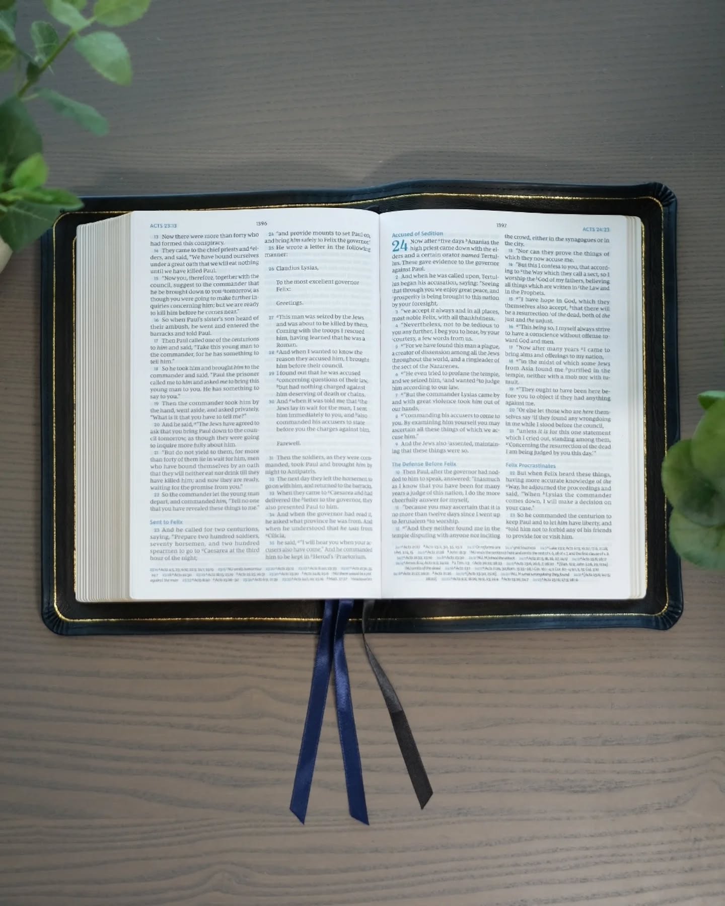 Black Badalassi Carlo Waxy NKJV thumbnail 3