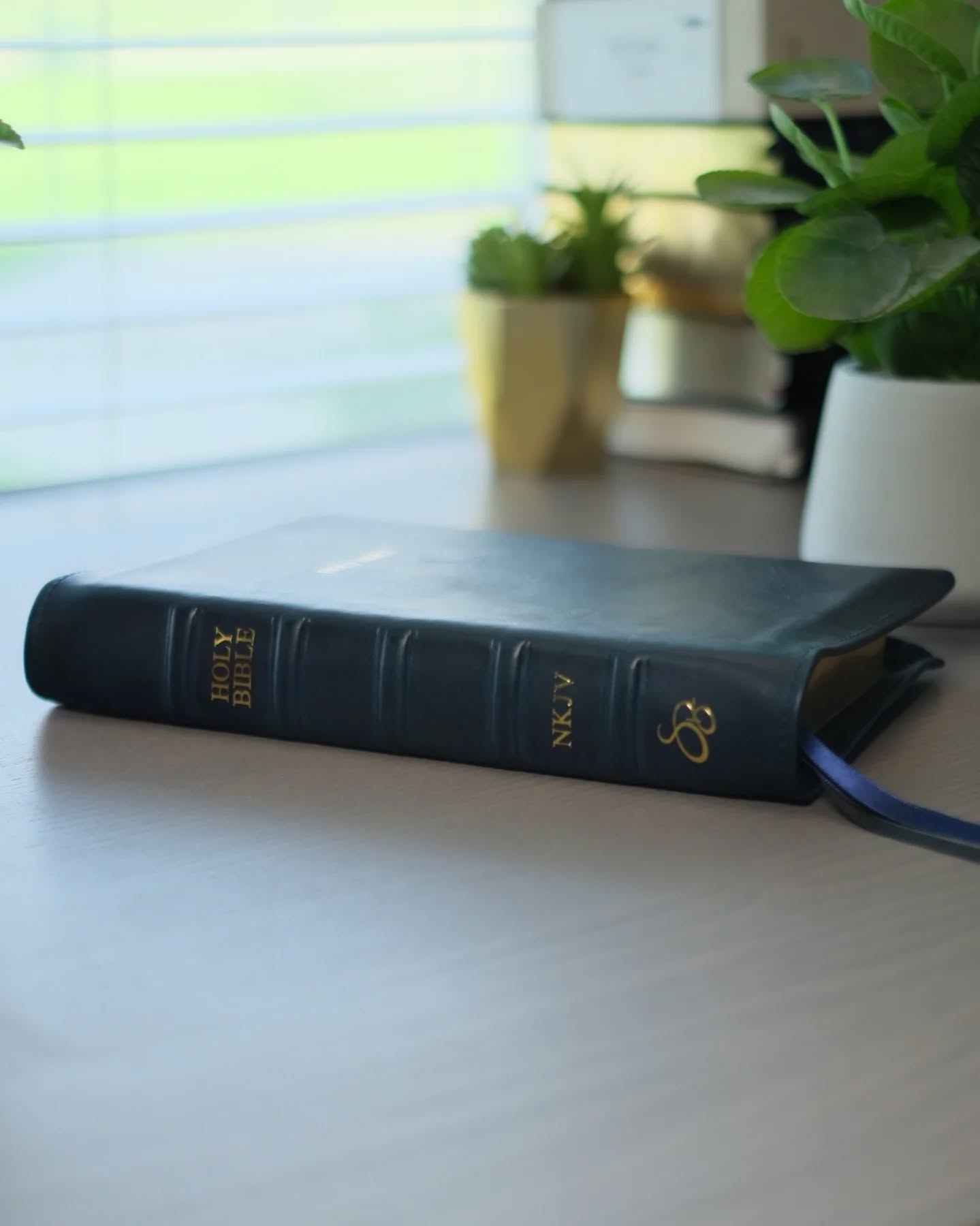 Black Badalassi Carlo Waxy NKJV thumbnail 5