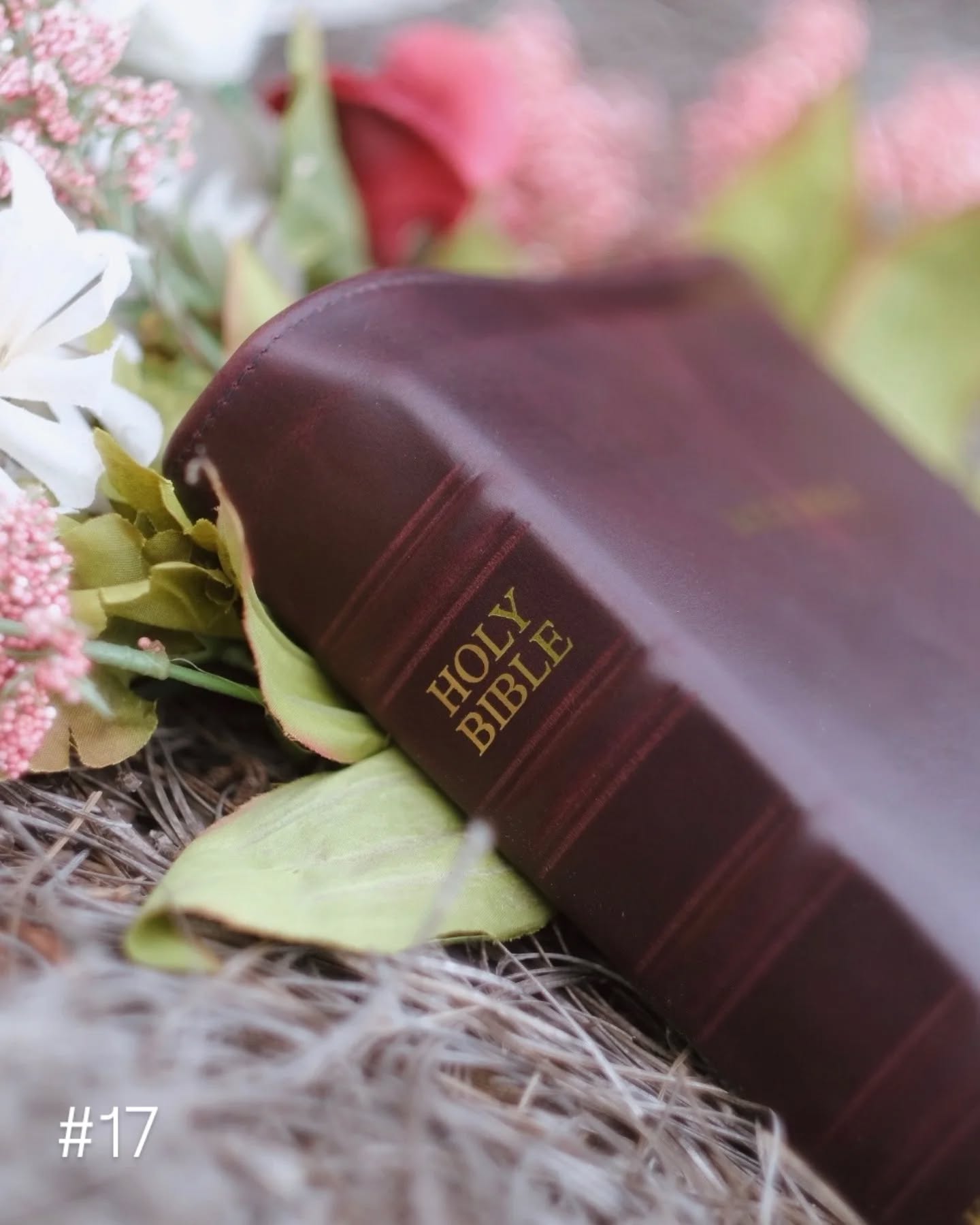 Black Seidel Double Shot KJV