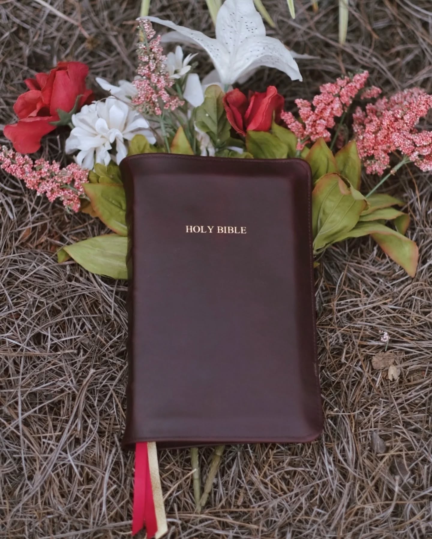 Black Seidel Double Shot KJV thumbnail 2