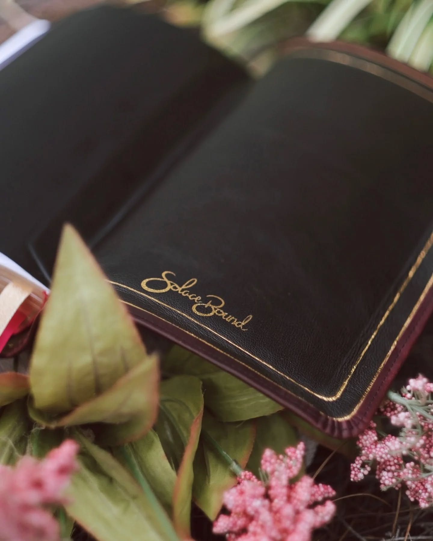 Black Seidel Double Shot KJV thumbnail 3