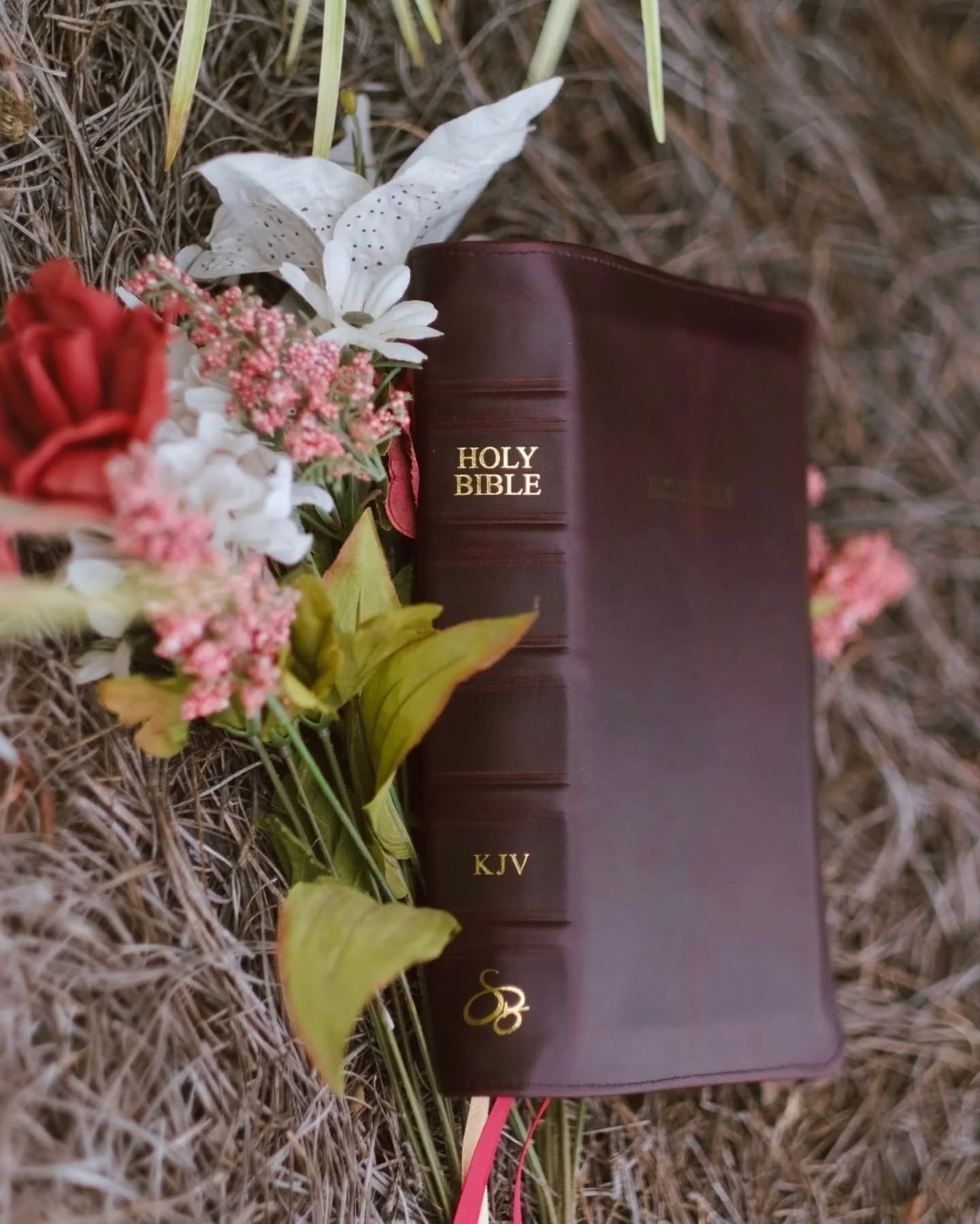 Black Seidel Double Shot KJV thumbnail 4