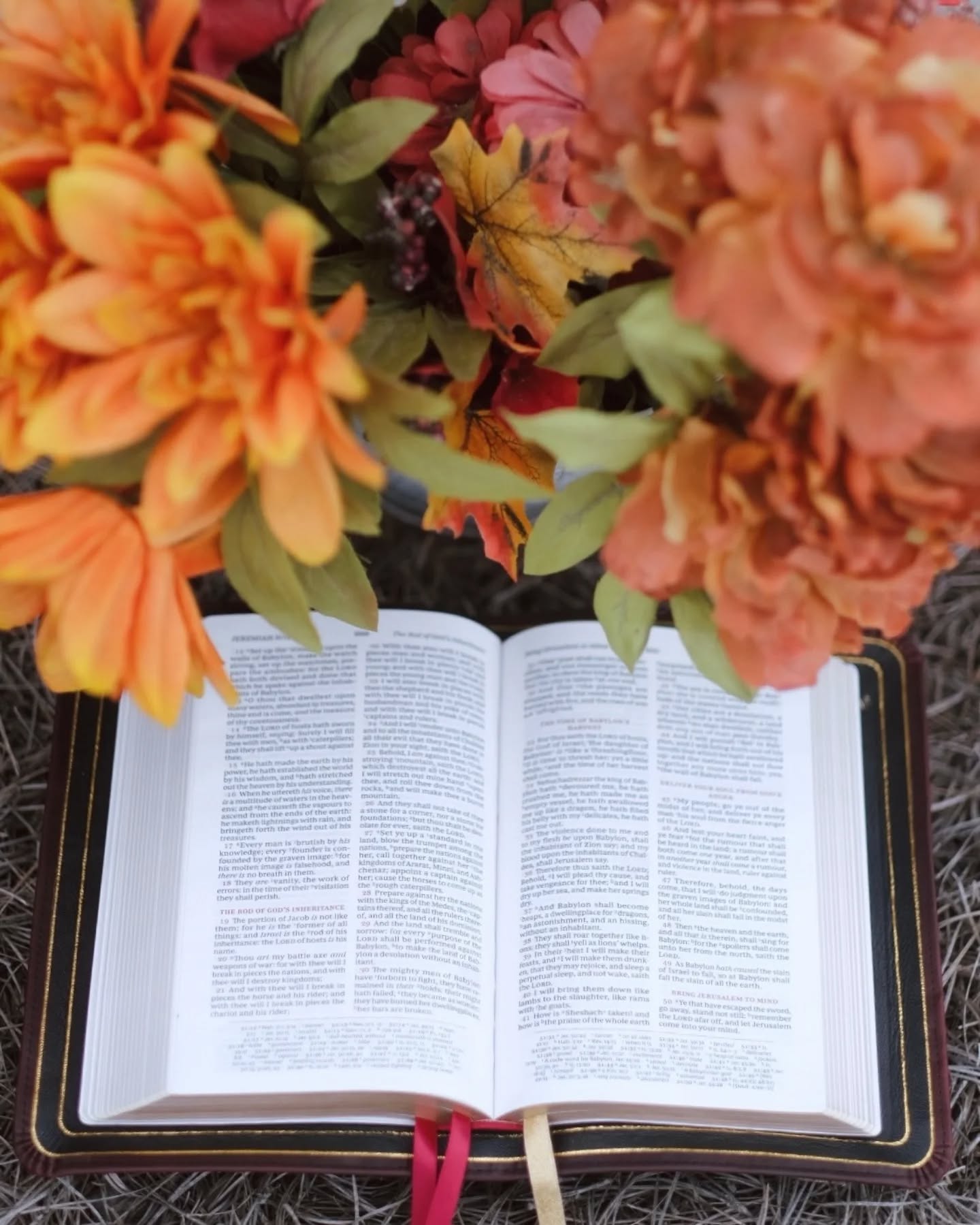 Black Seidel Double Shot KJV thumbnail 5