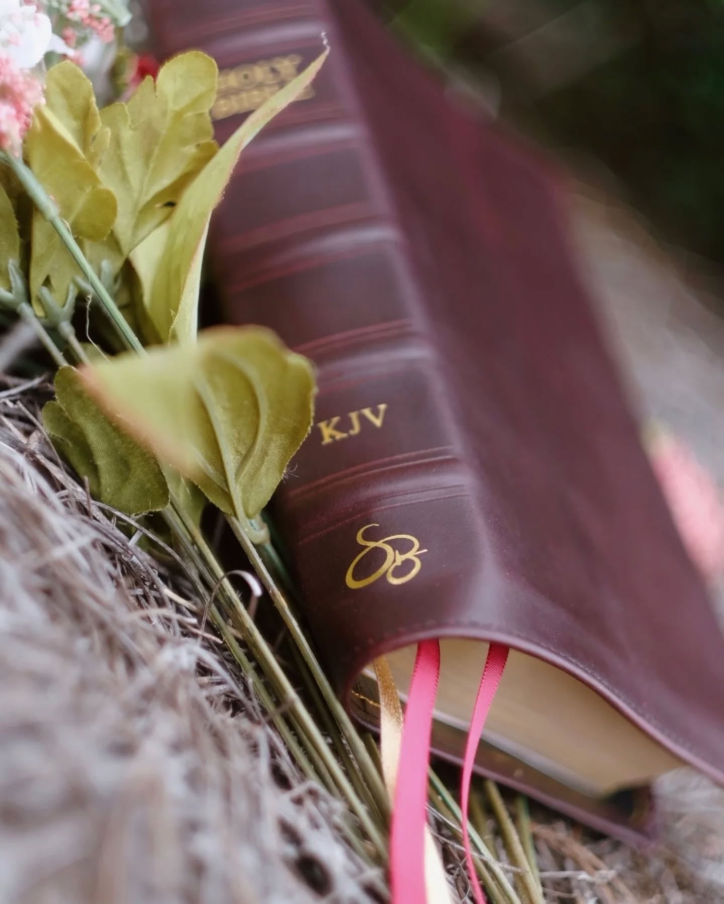 Black Seidel Double Shot KJV thumbnail 6