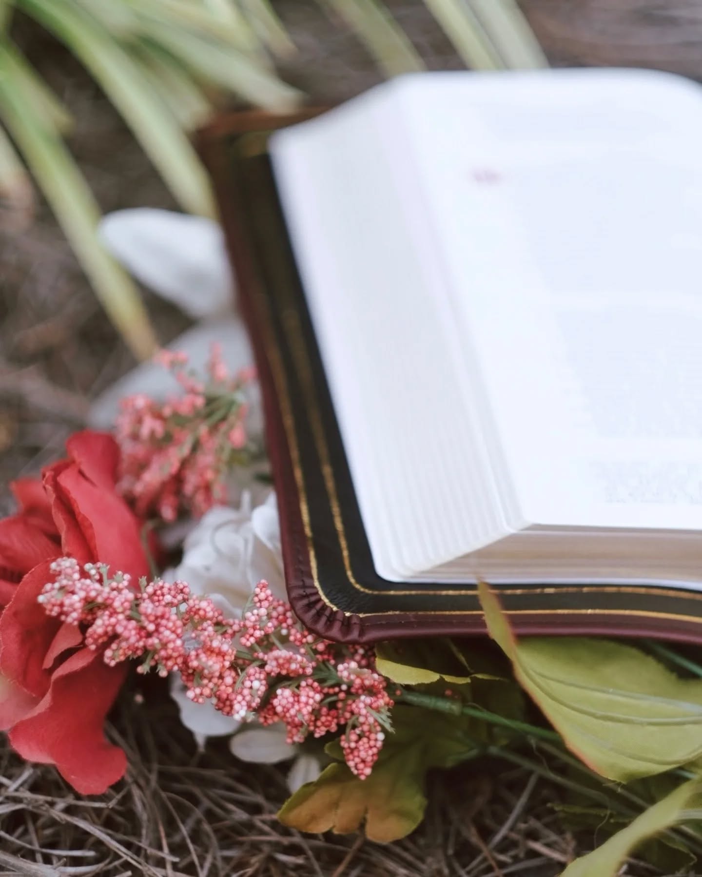 Black Seidel Double Shot KJV thumbnail 7