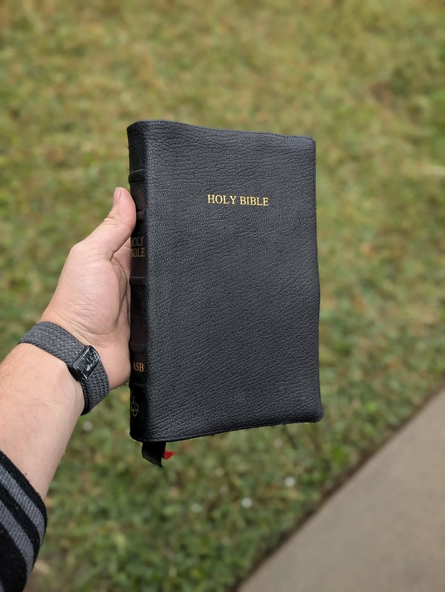 Black Goatskin NASB thumbnail 2