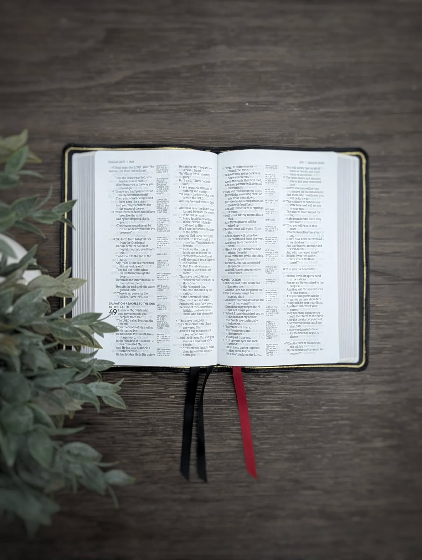 Black Goatskin NASB thumbnail 3