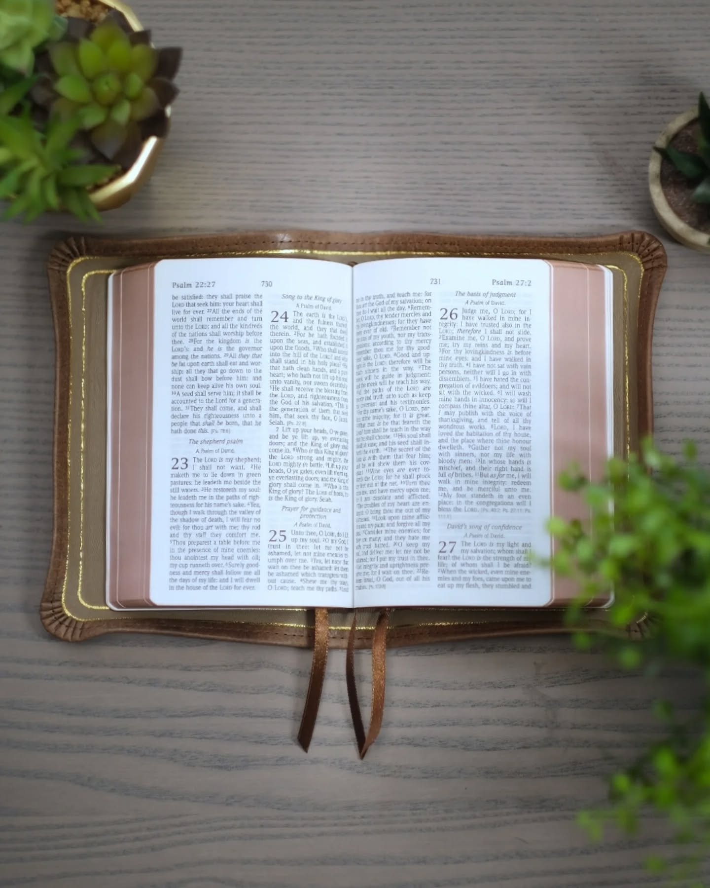 Macchiato Badalassi Carlo Nemesis KJV thumbnail 2