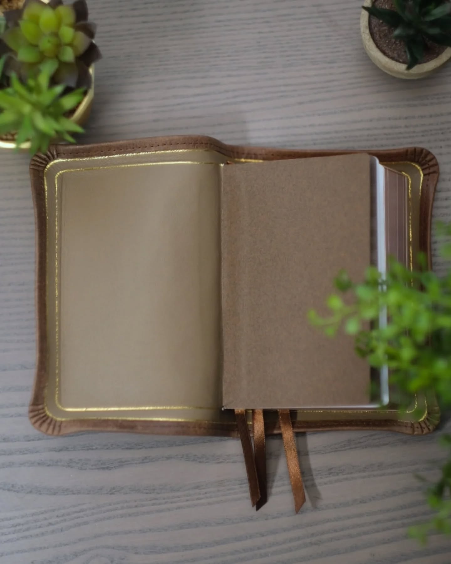 Macchiato Badalassi Carlo Nemesis KJV thumbnail 5