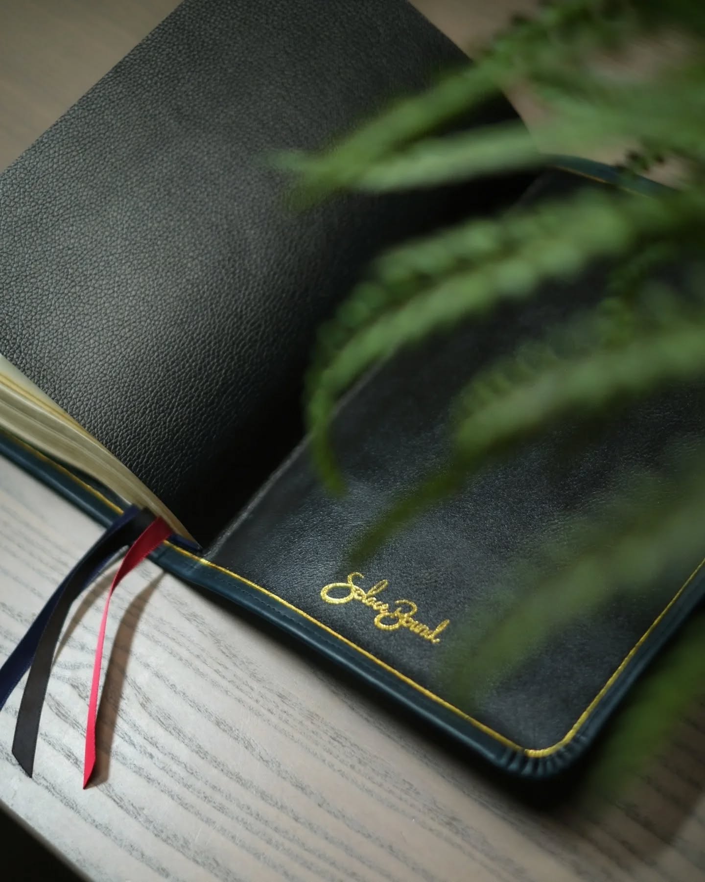 Green Leather KJV thumbnail 5