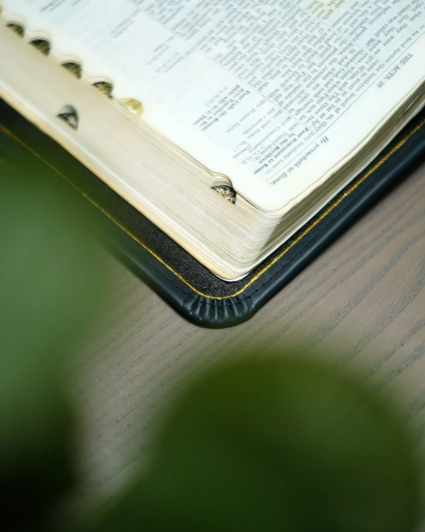 Green Leather KJV thumbnail 7