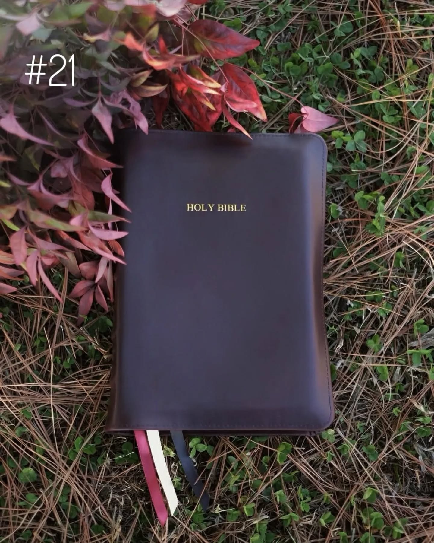 Black Seidel Double Shot NASB