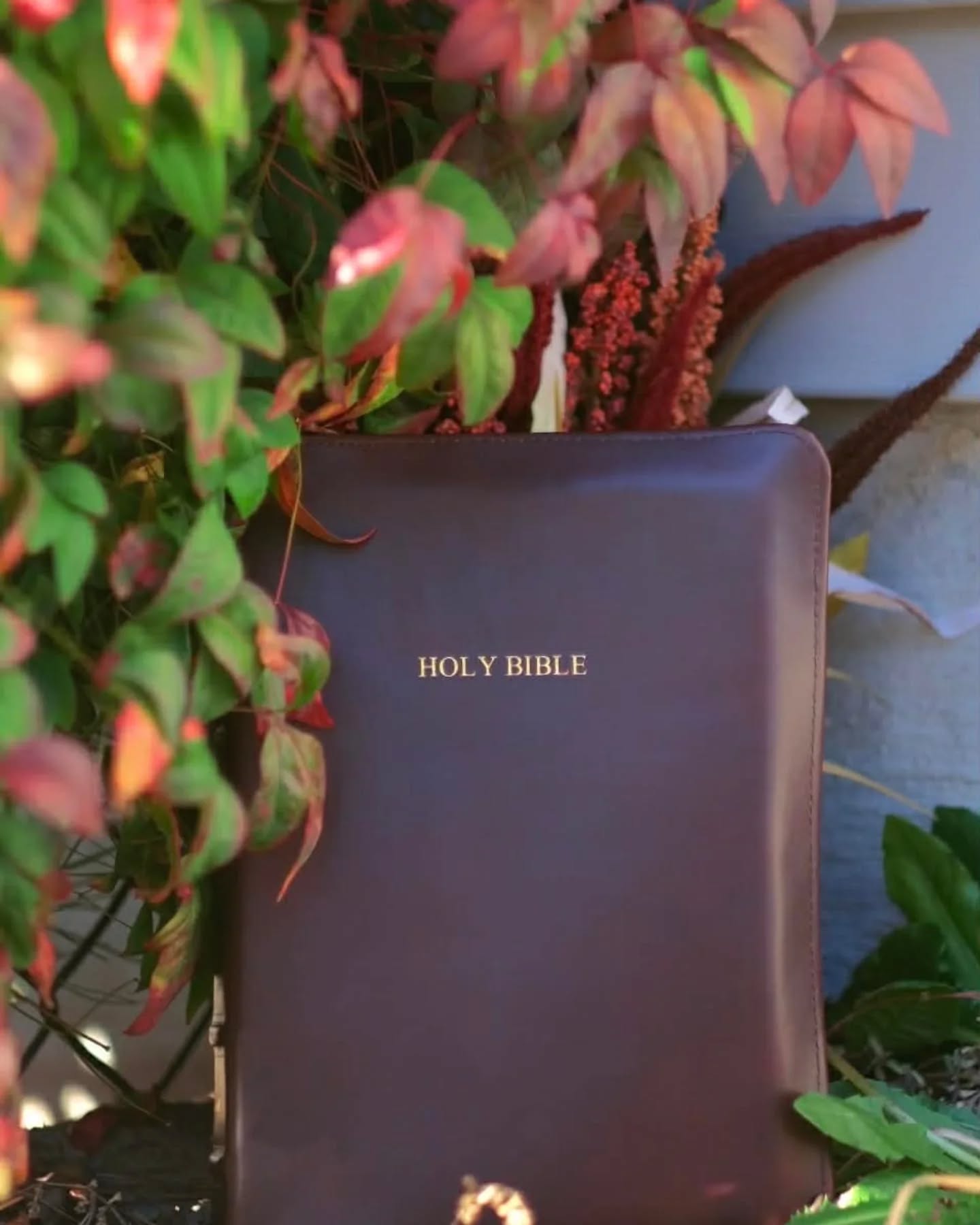 Black Seidel Double Shot NASB thumbnail 4