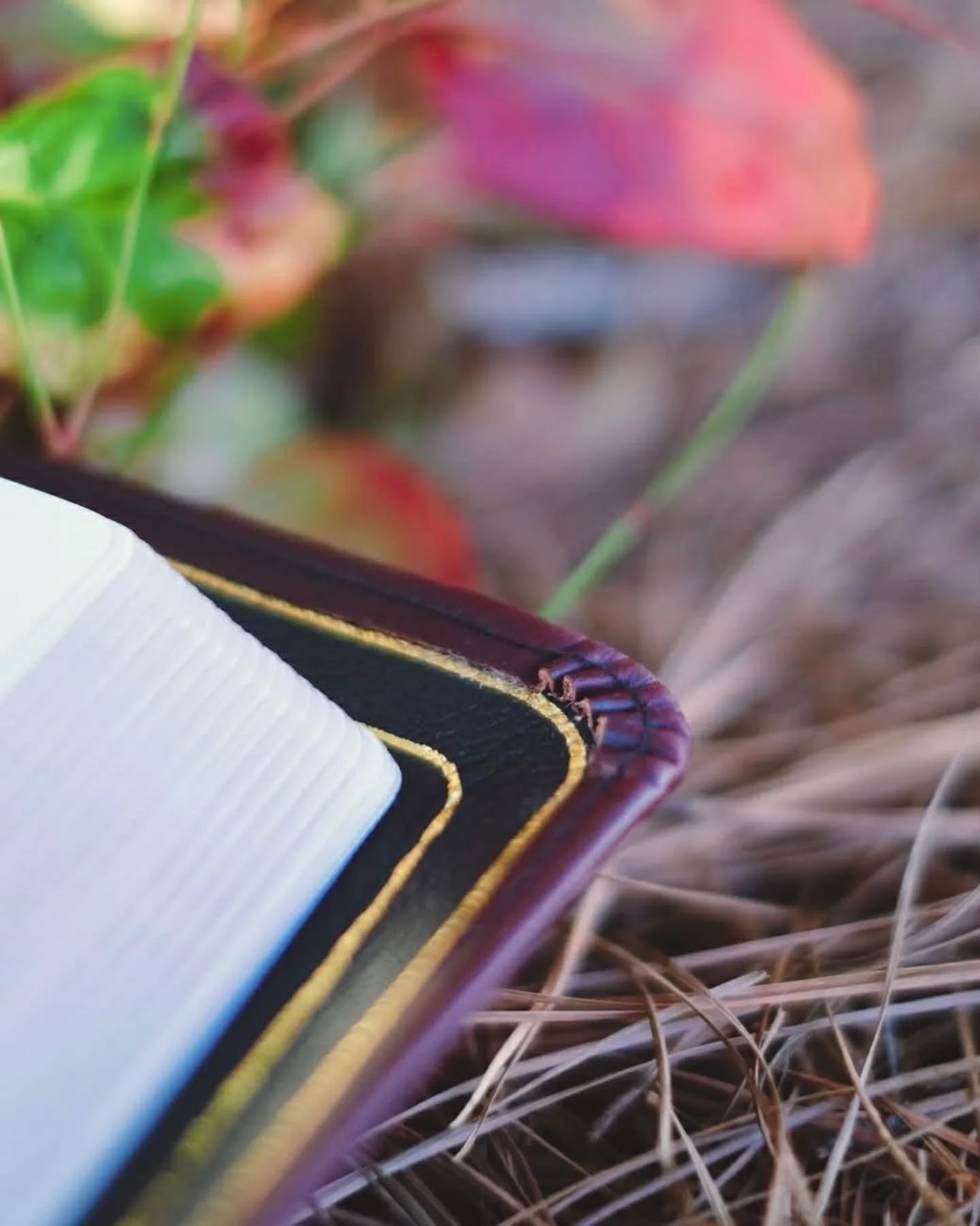 Black Seidel Double Shot NASB thumbnail 6