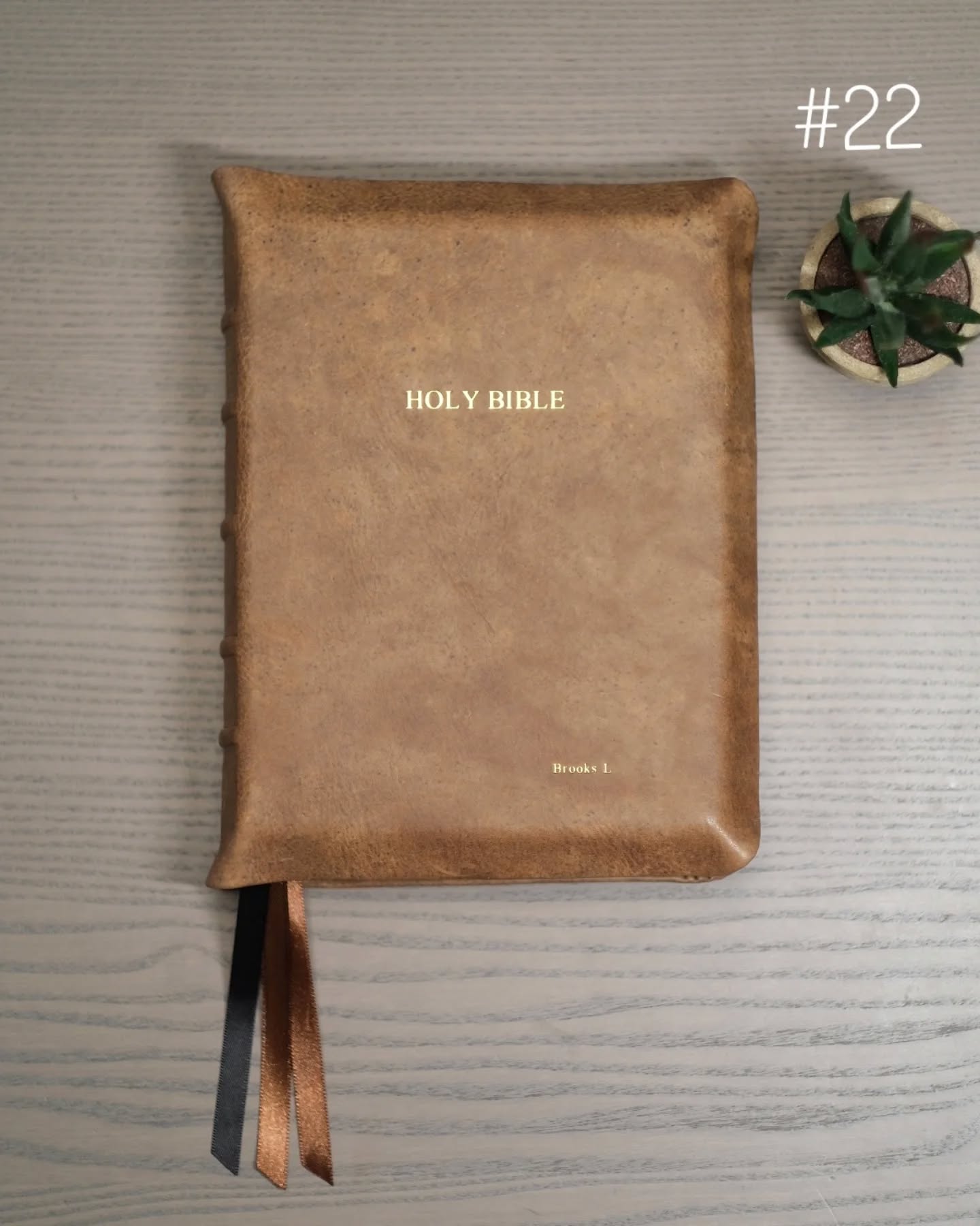 Brown Badalassi Carlo Nemesis ESV