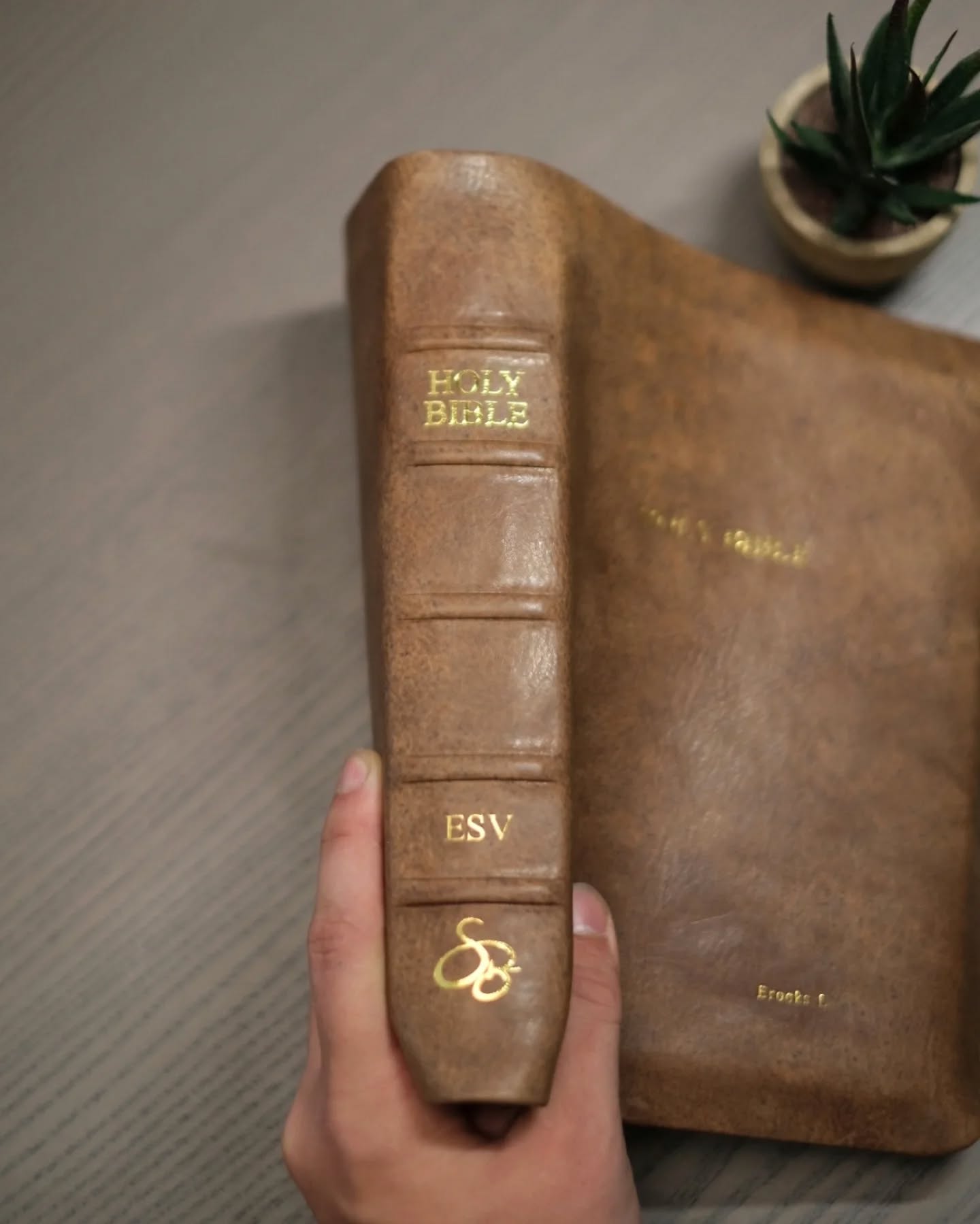 Brown Badalassi Carlo Nemesis ESV thumbnail 4