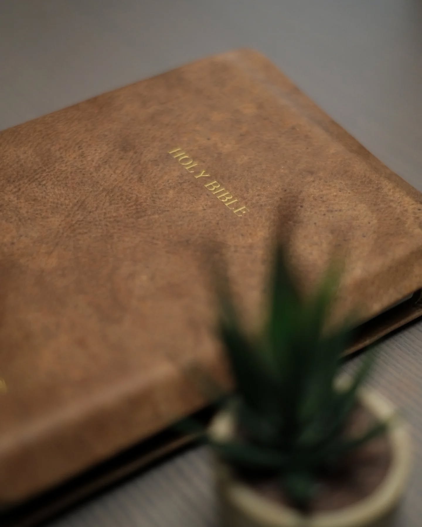 Brown Badalassi Carlo Nemesis ESV thumbnail 5