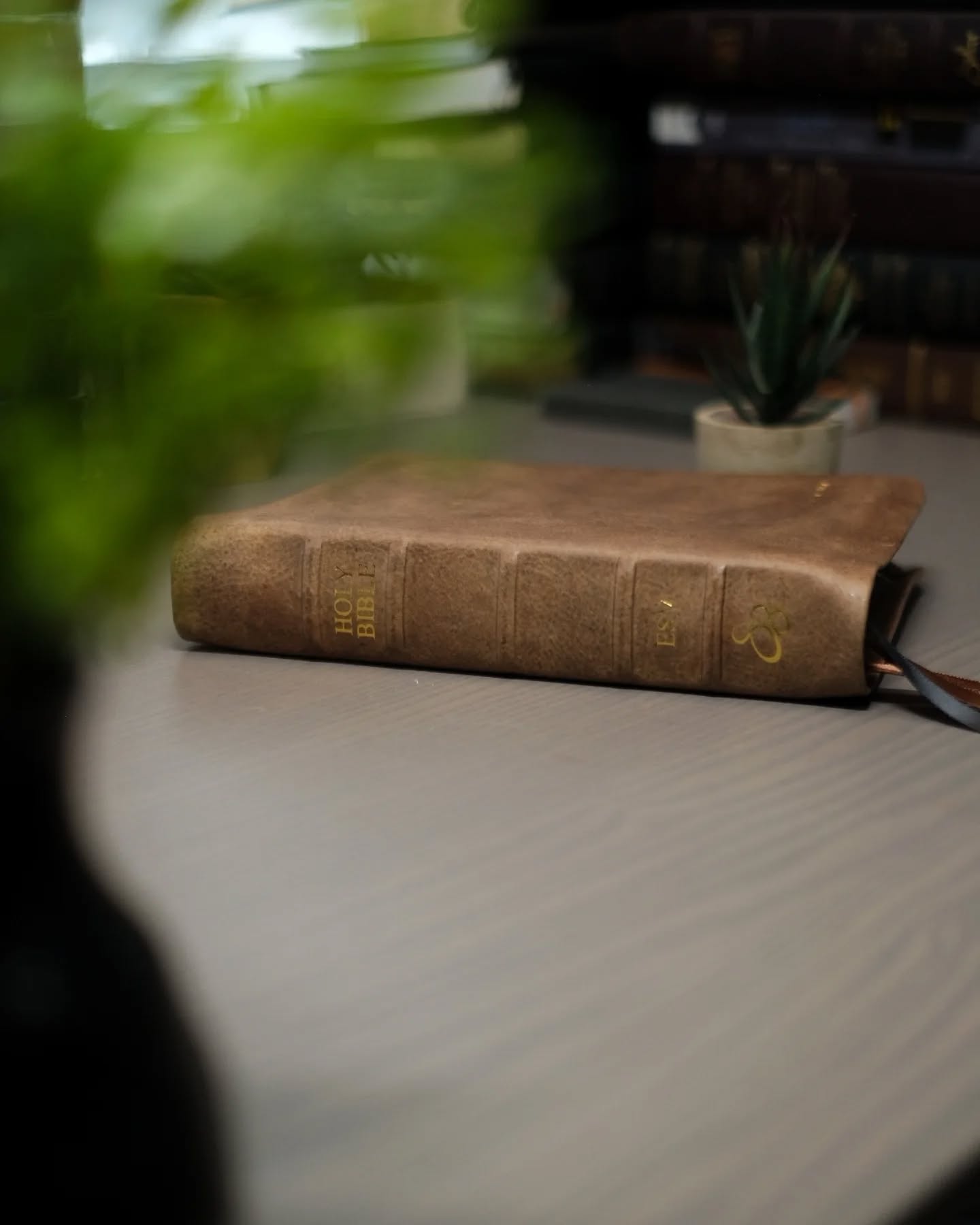 Brown Badalassi Carlo Nemesis ESV thumbnail 6