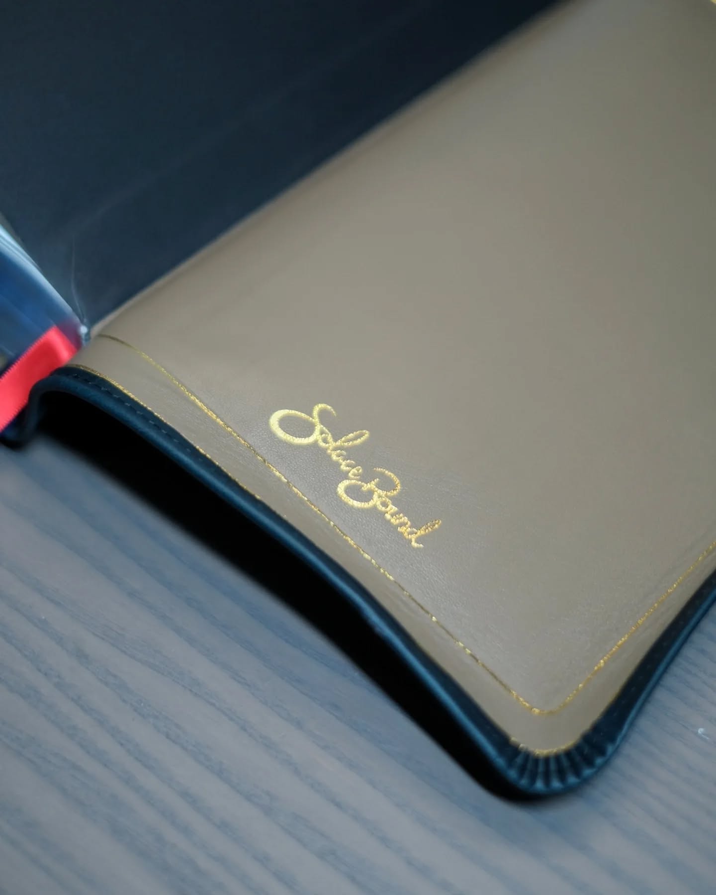 Sapphire Blue Leather ESV thumbnail 10