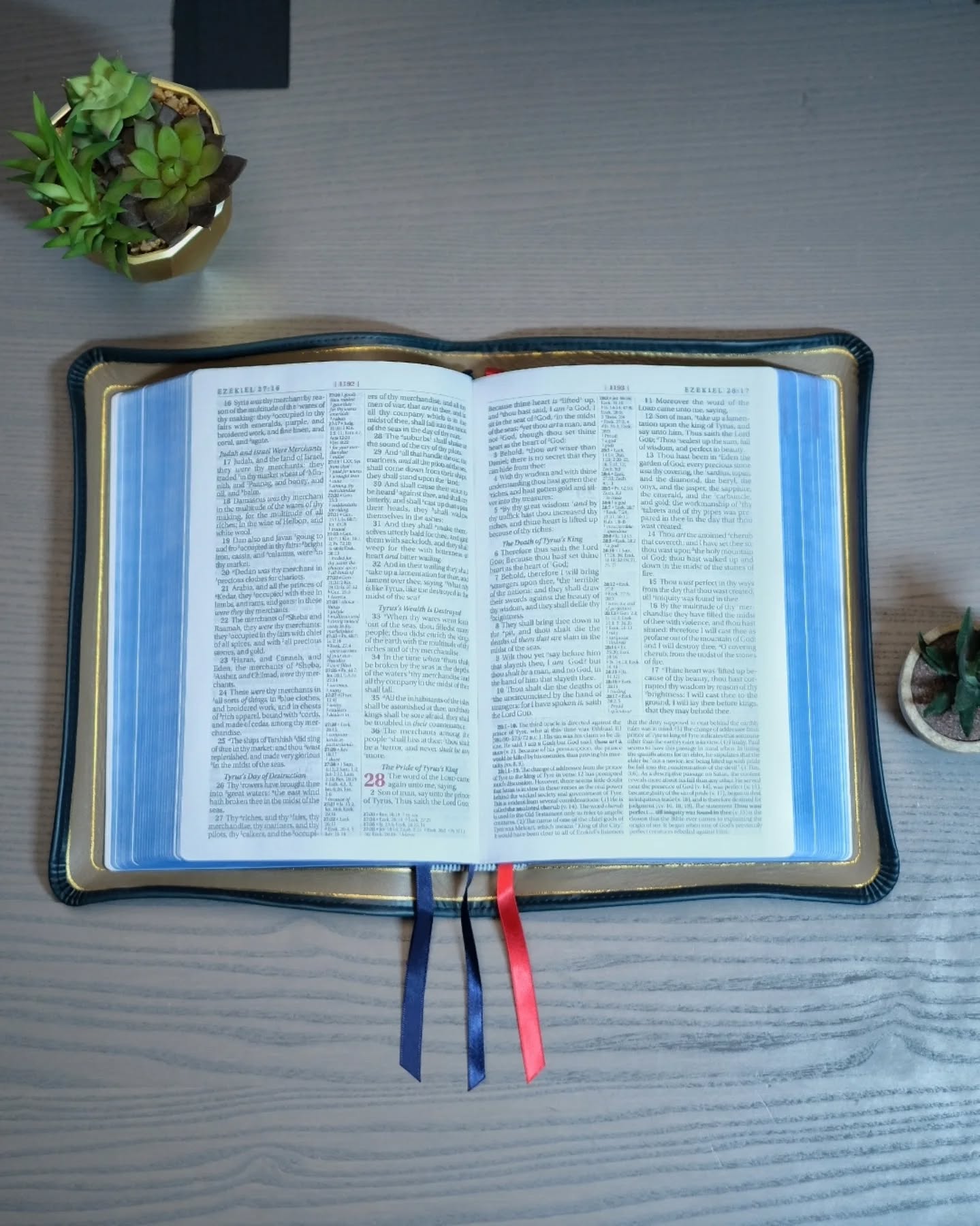 Sapphire Blue Leather ESV thumbnail 4