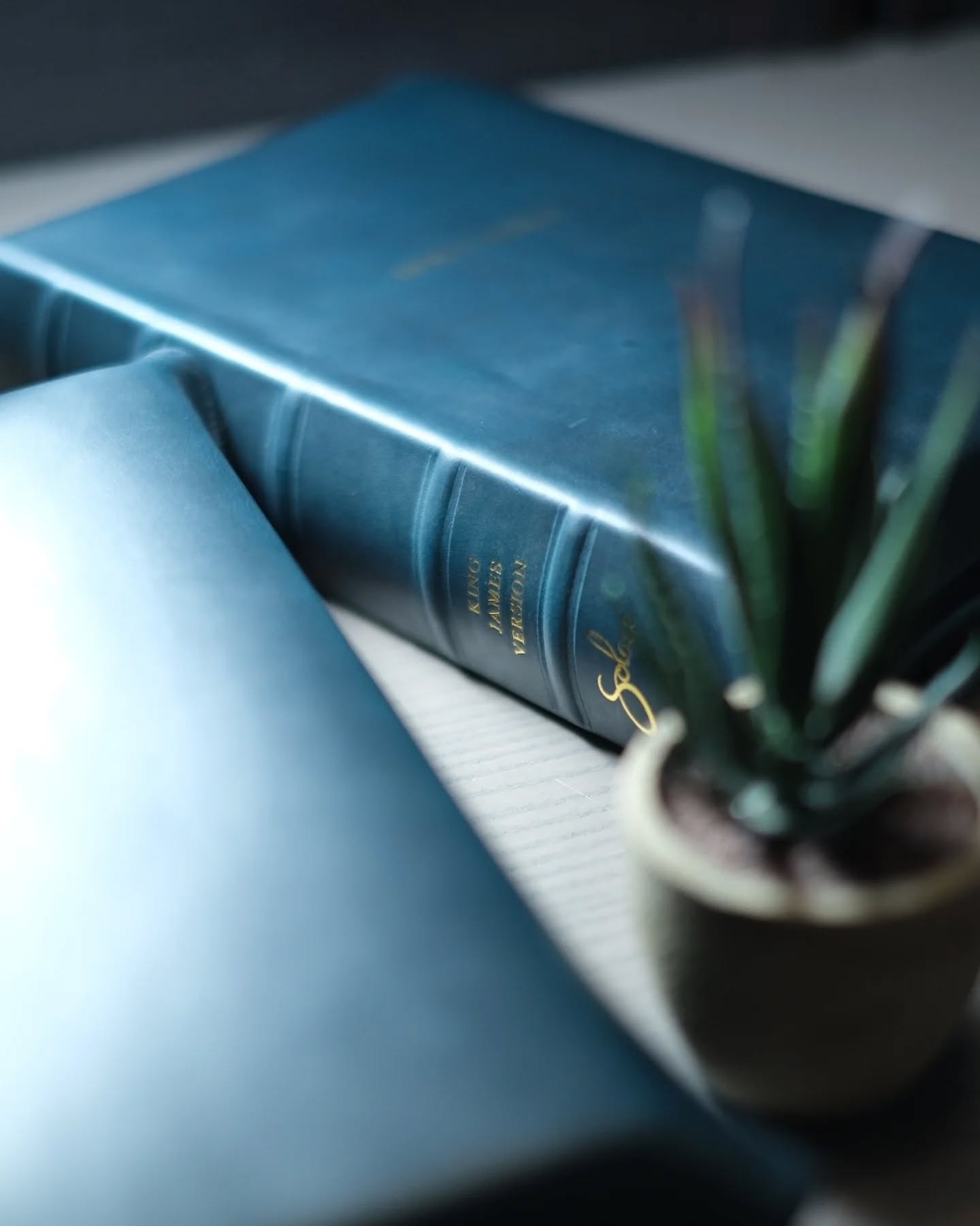 Sapphire Blue Leather ESV thumbnail 6