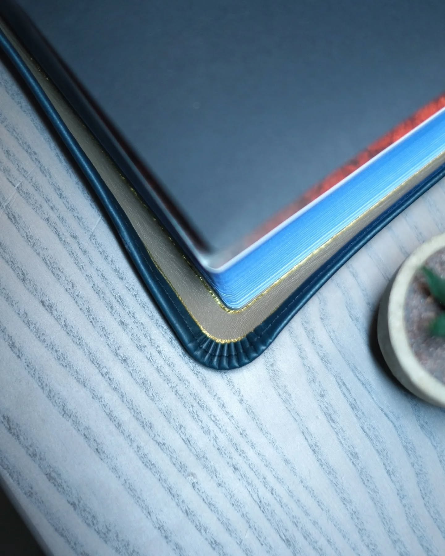 Sapphire Blue Leather ESV thumbnail 9