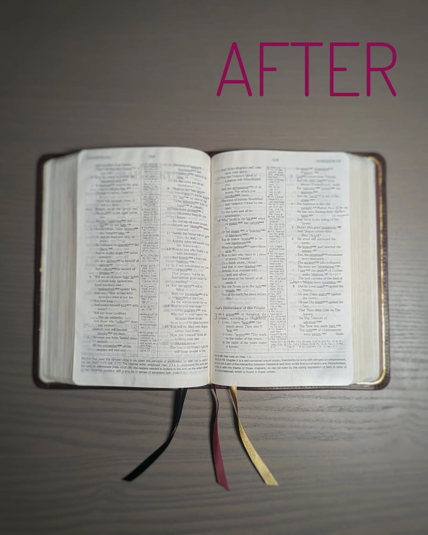 Sapphire Blue Leather ESV thumbnail 9