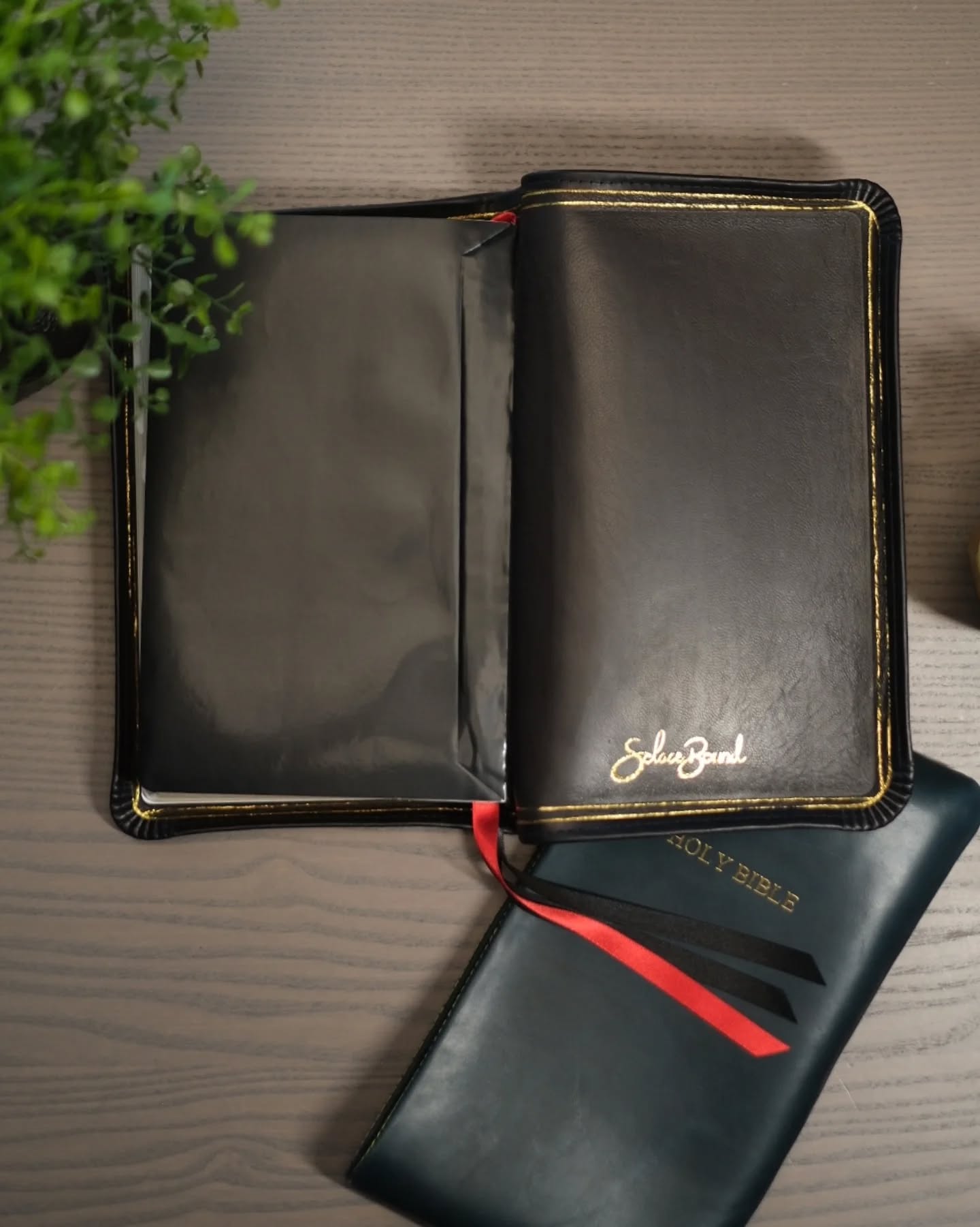 Black Seidel Double Shot NASB thumbnail 11