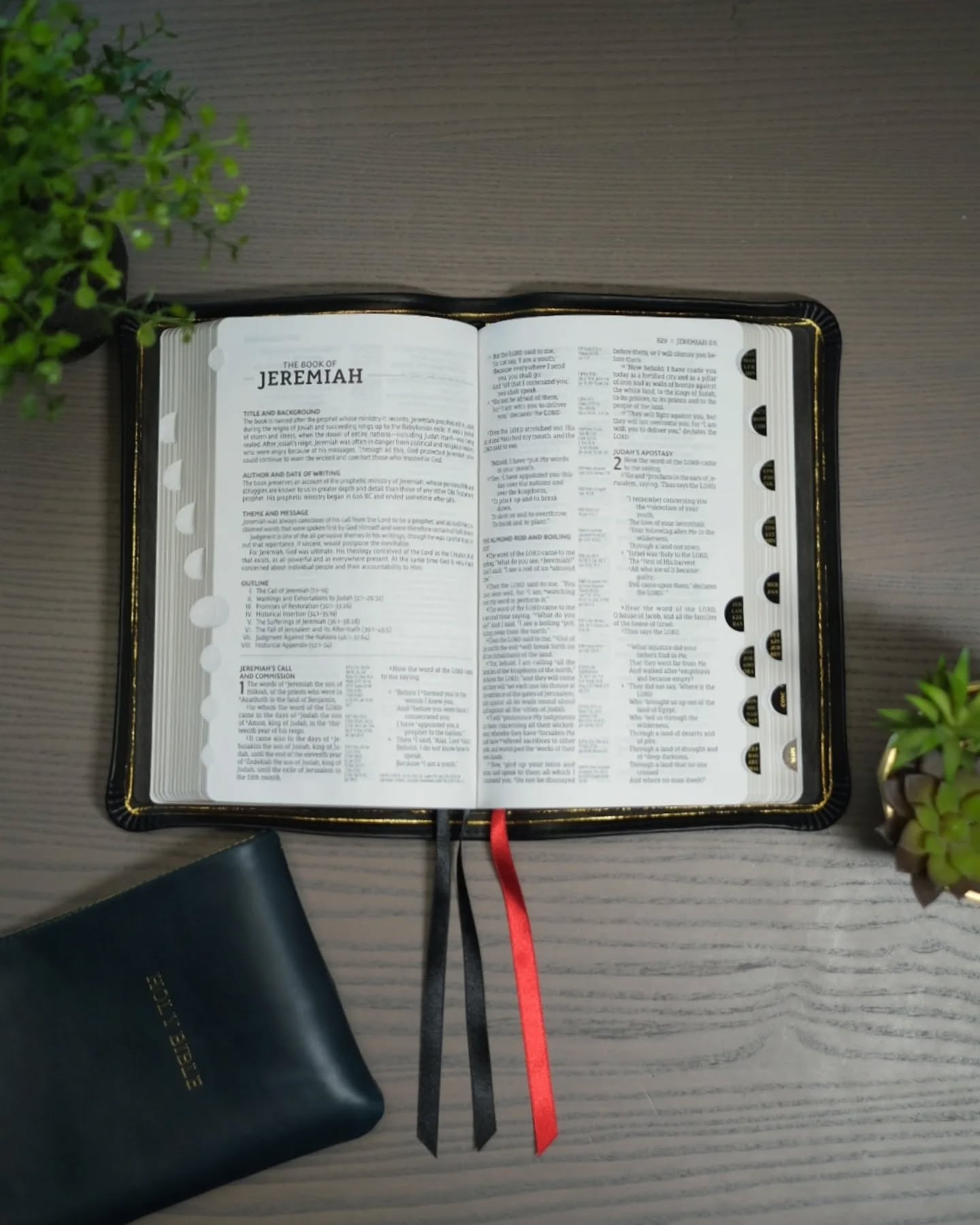 Black Seidel Double Shot NASB thumbnail 4